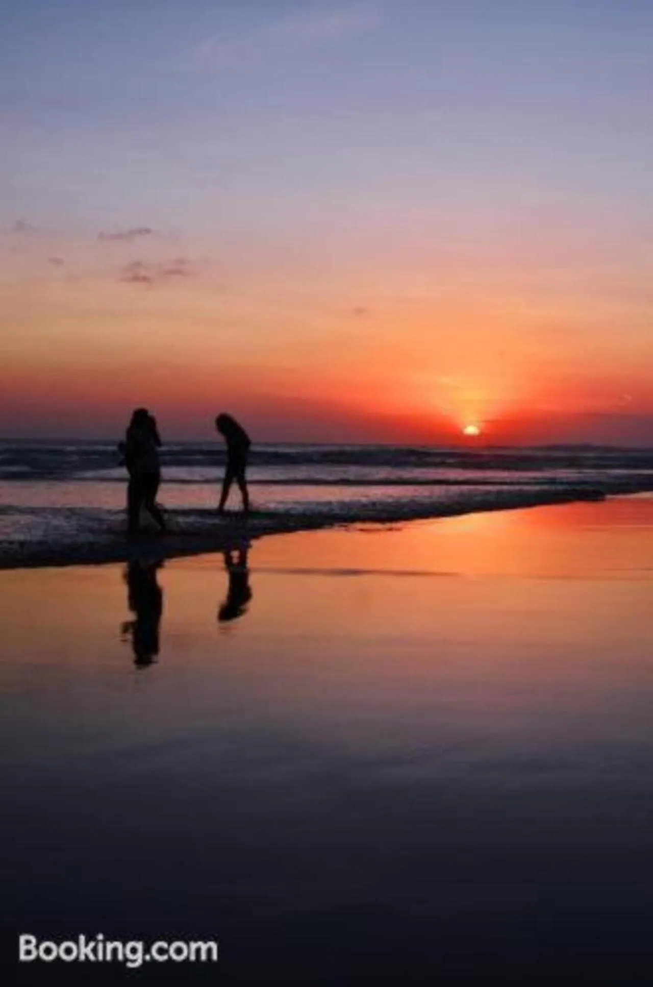 Area and facilities in Sarinande Hotel