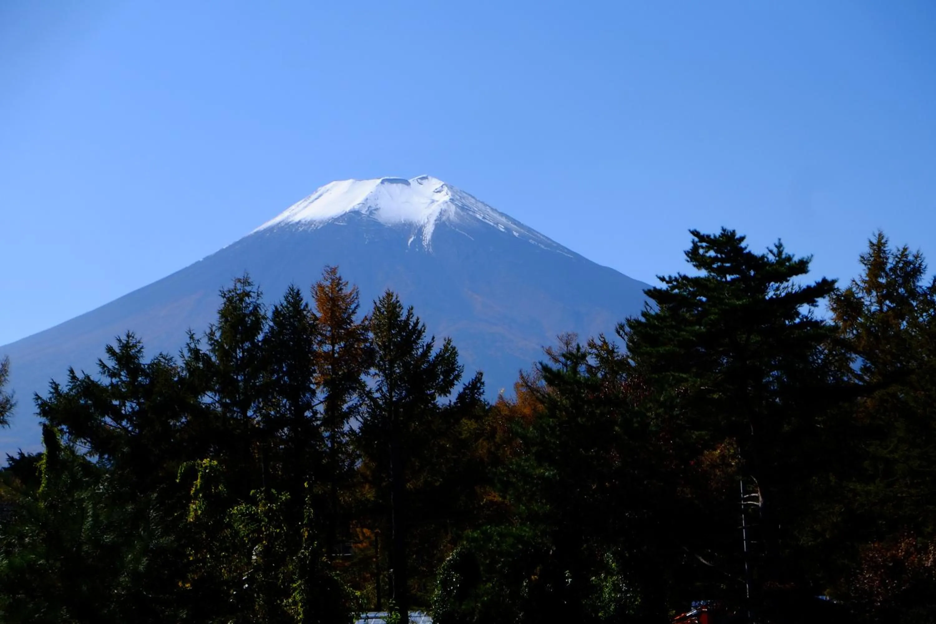 View (from property/room) in Ryokan Fujitomita