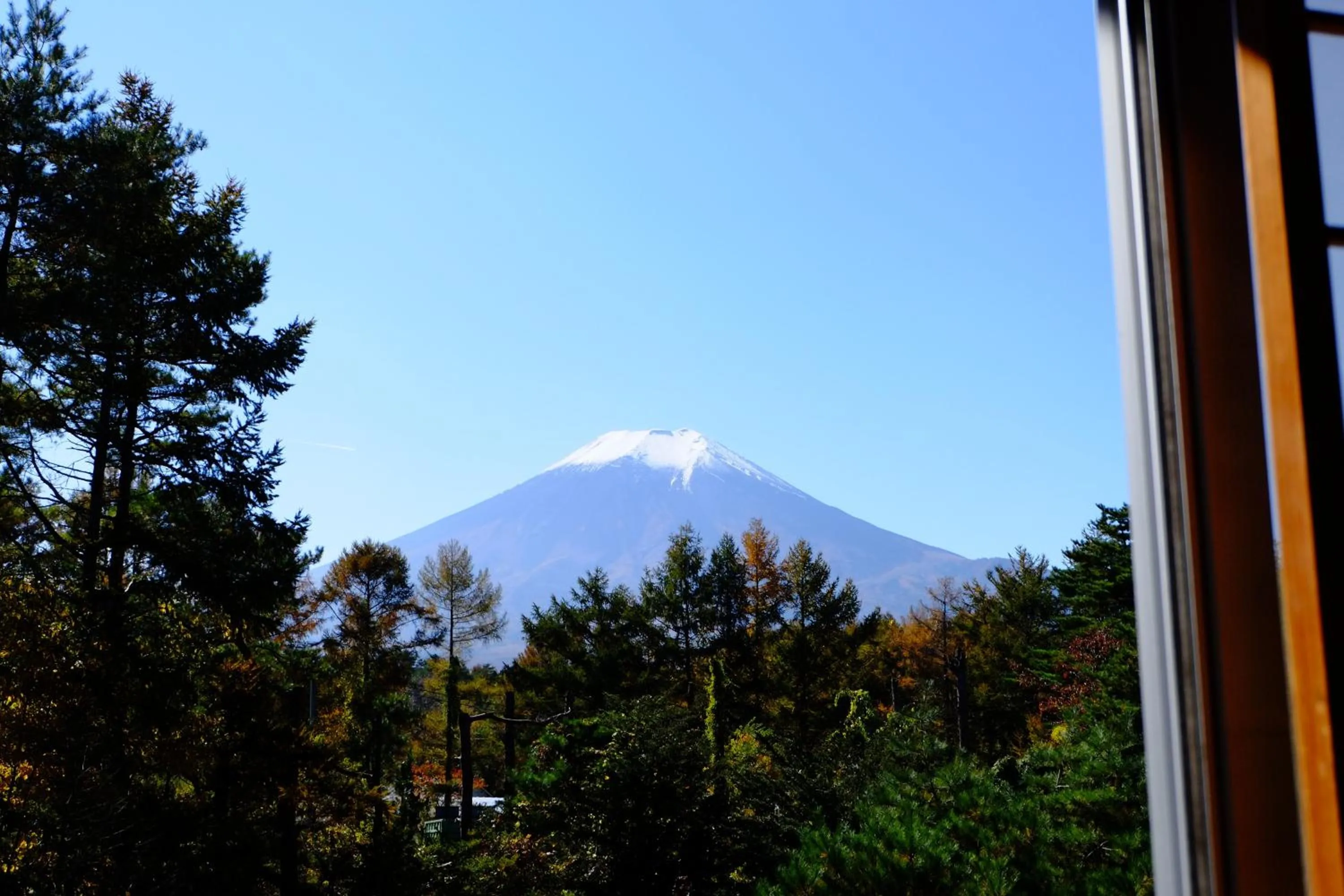 View (from property/room) in Ryokan Fujitomita