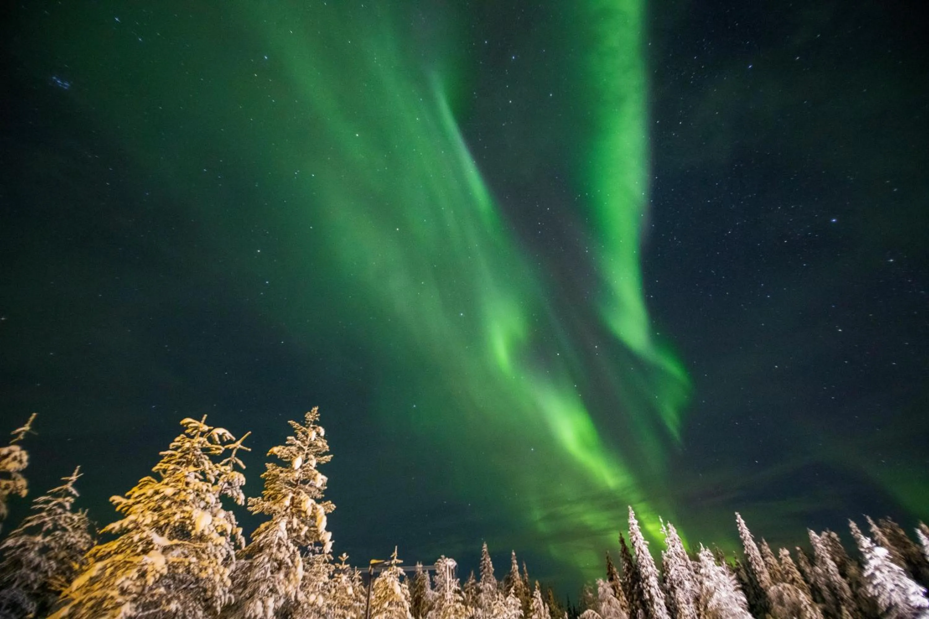 Natural landscape in Northern Lights Village Levi