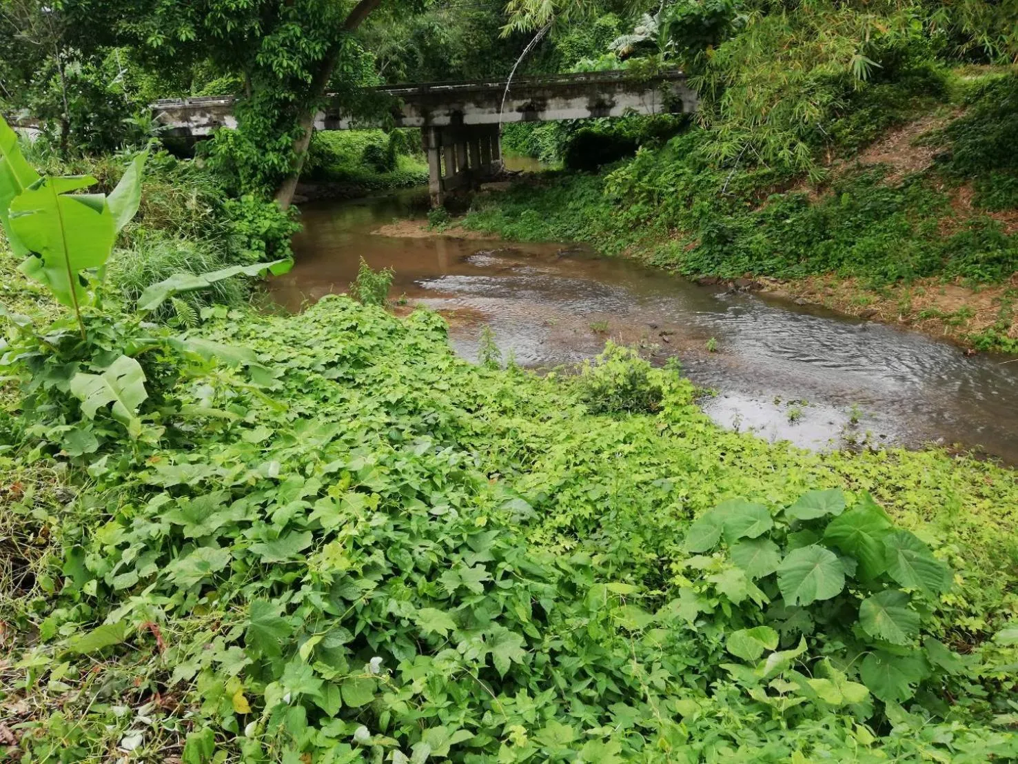 Natural landscape in Taluangjit Resort&Garden