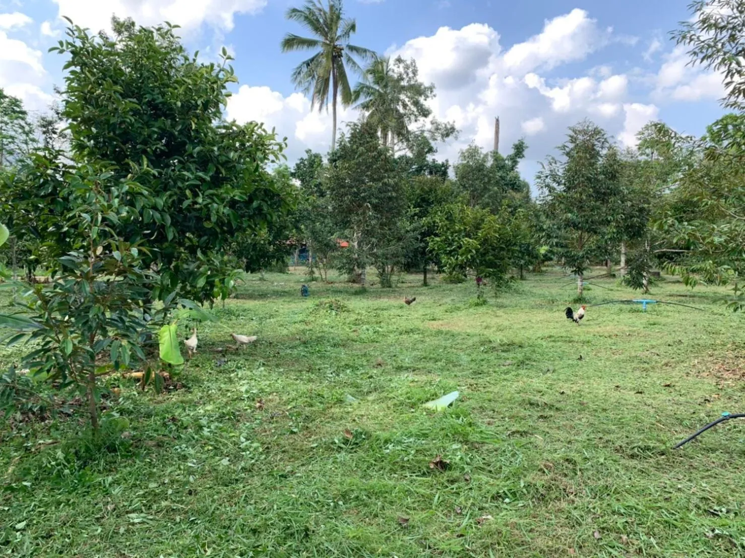 Taluangjit Resort&Garden