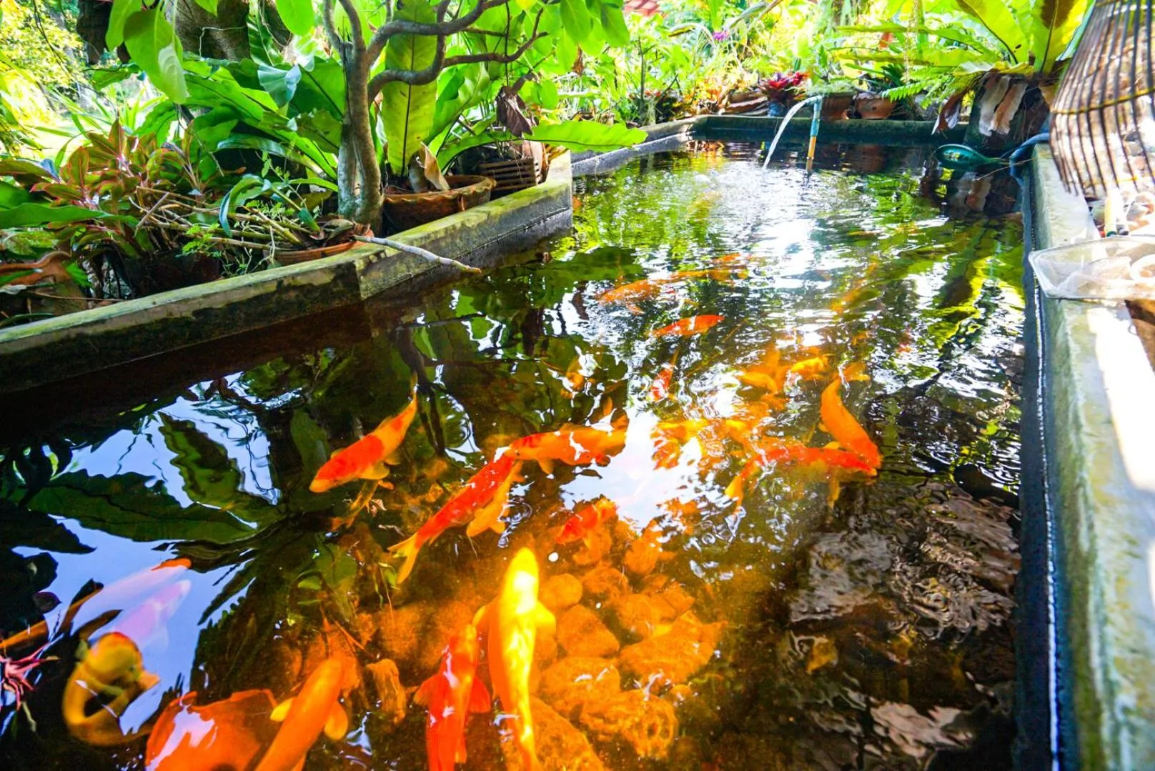 Taluangjit Resort&Garden