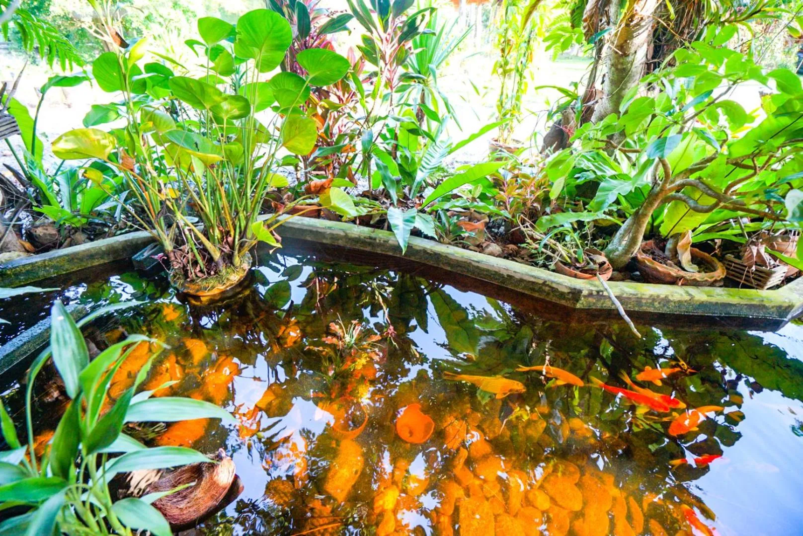 Taluangjit Resort&Garden