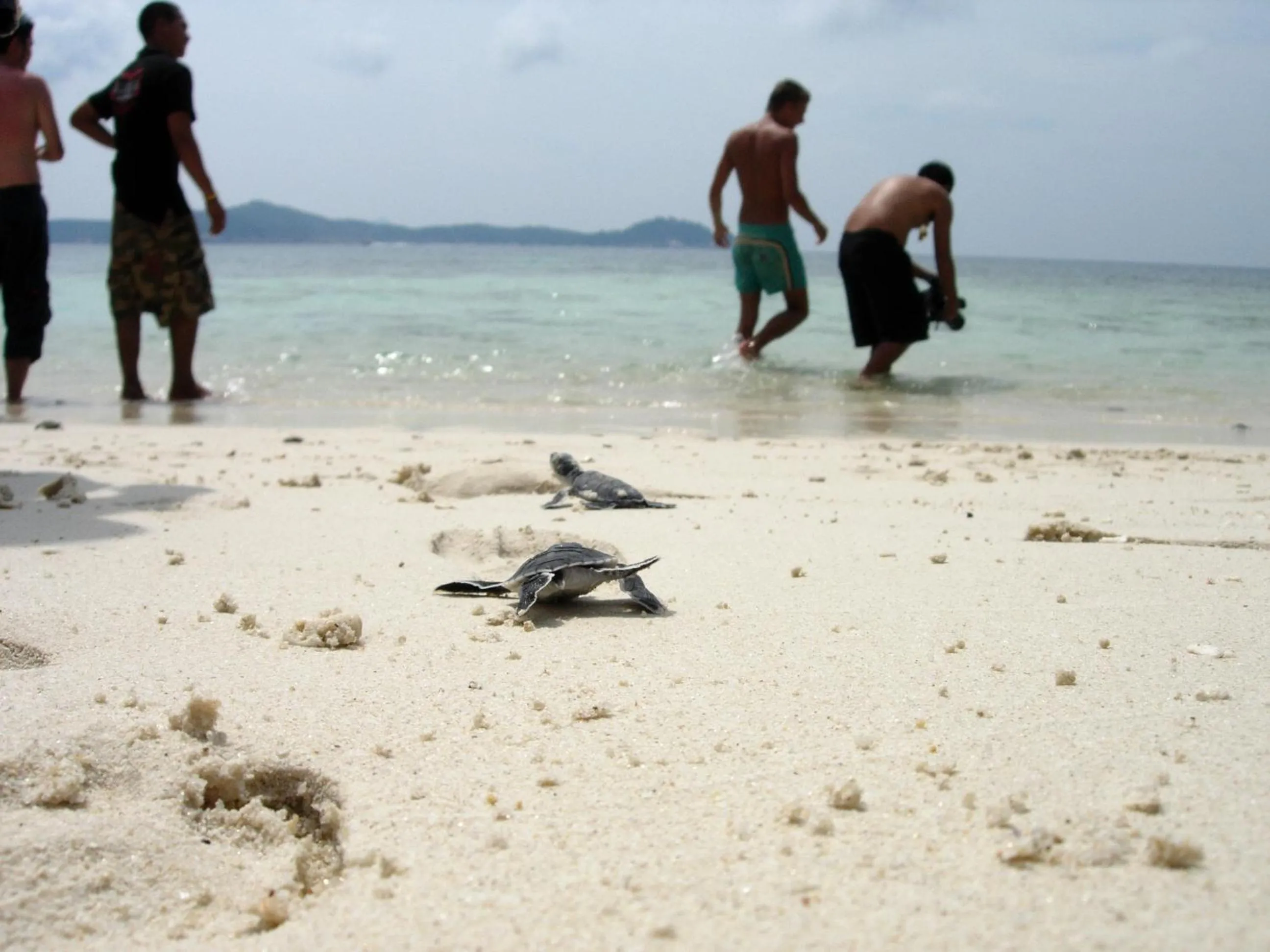 Activities in BuBu Villa