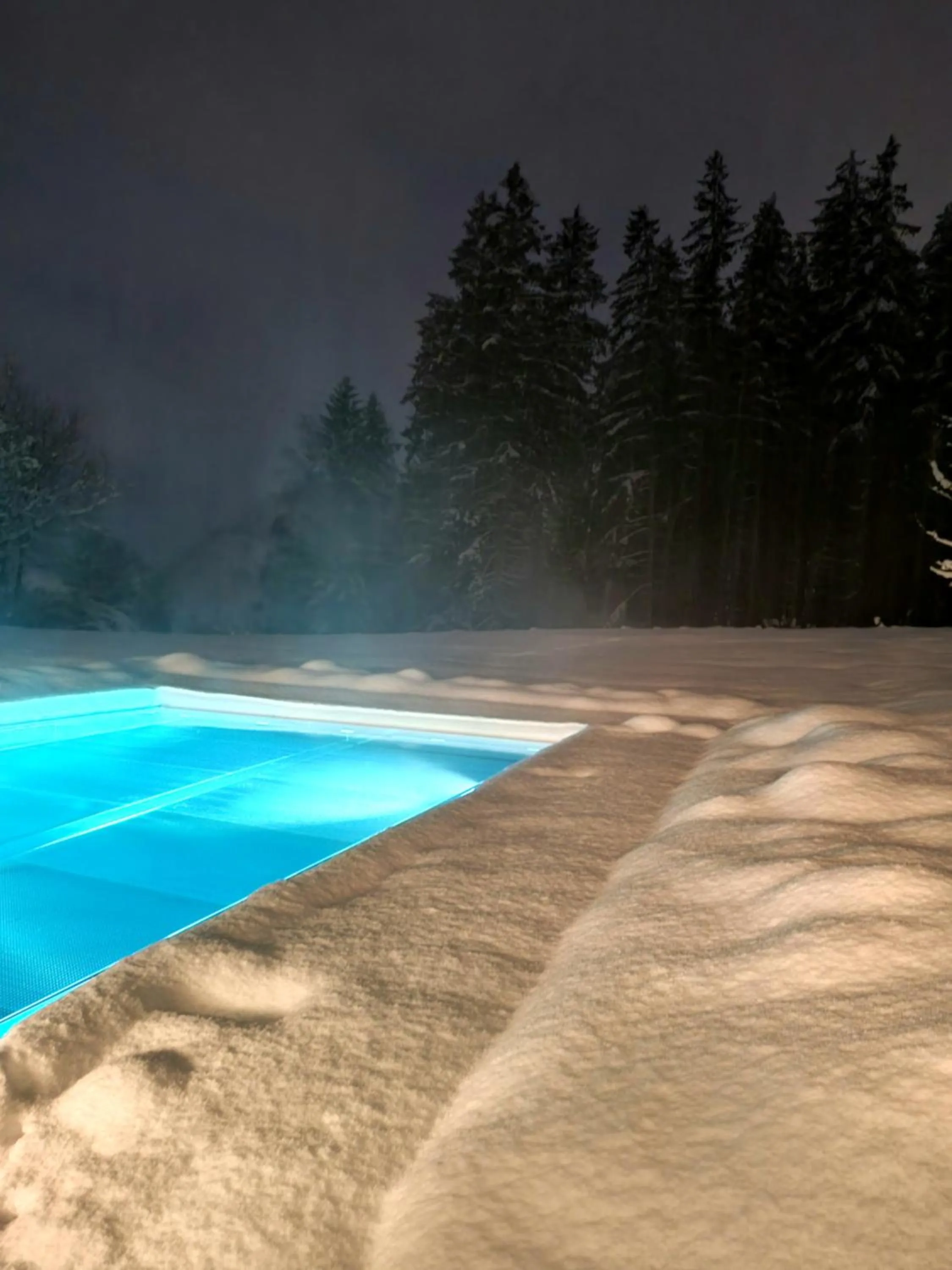 Swimming pool in Der Alpenblick
