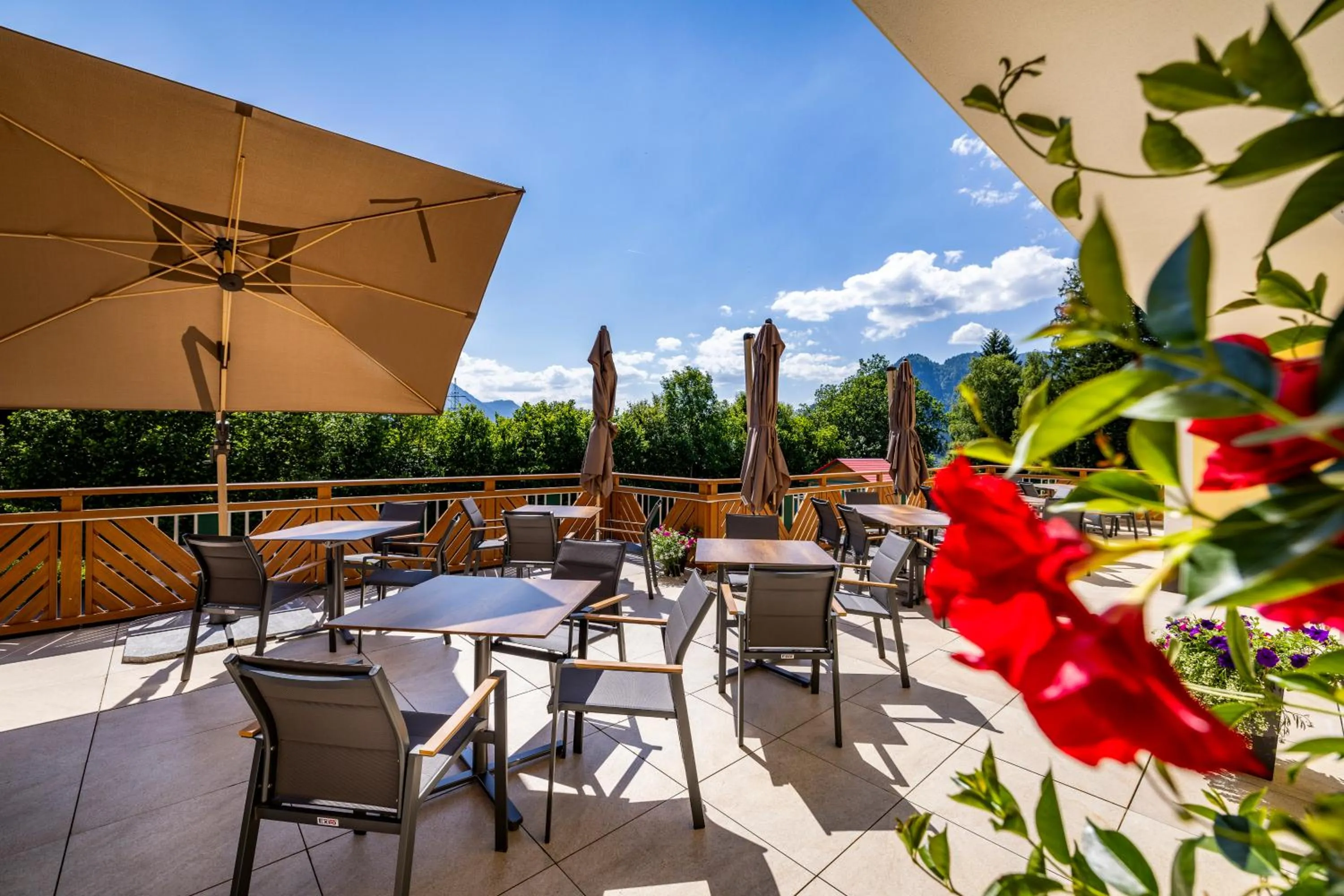 Restaurant/places to eat in Der Alpenblick