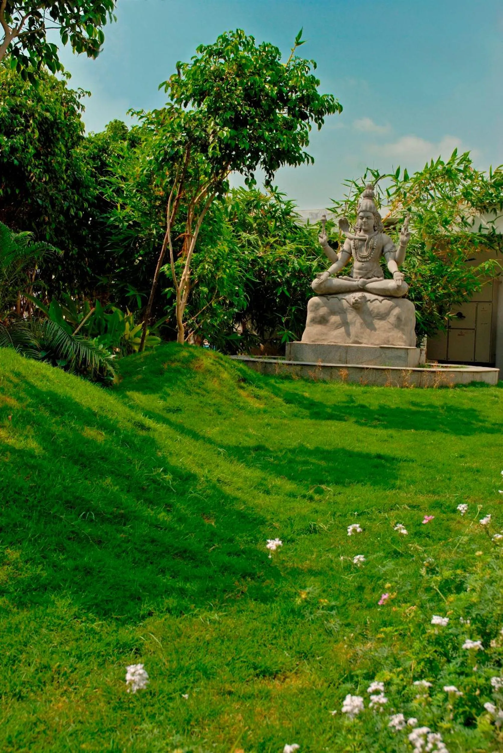 Natural landscape in Arpanaa Hotel