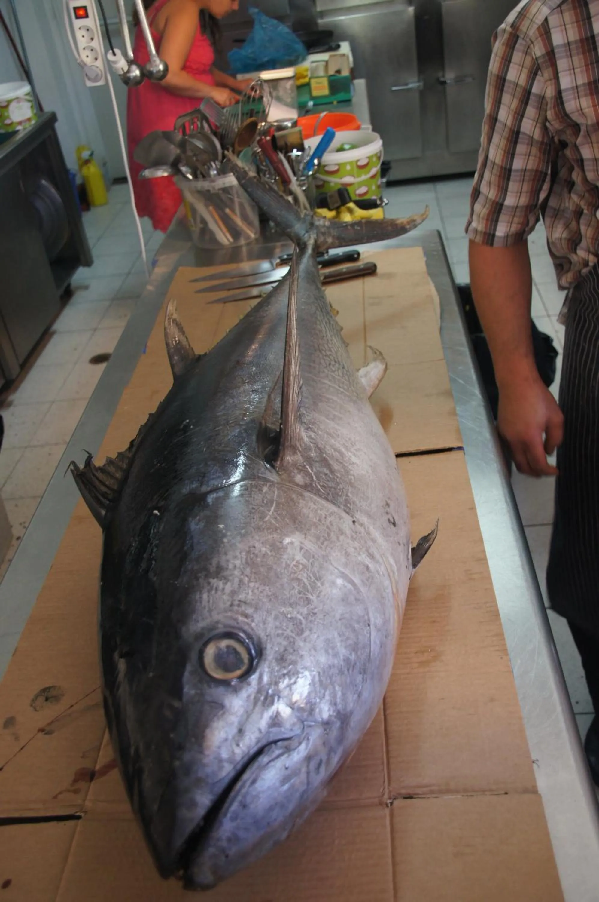 Dinner in Limnionas Bay Village Hotel