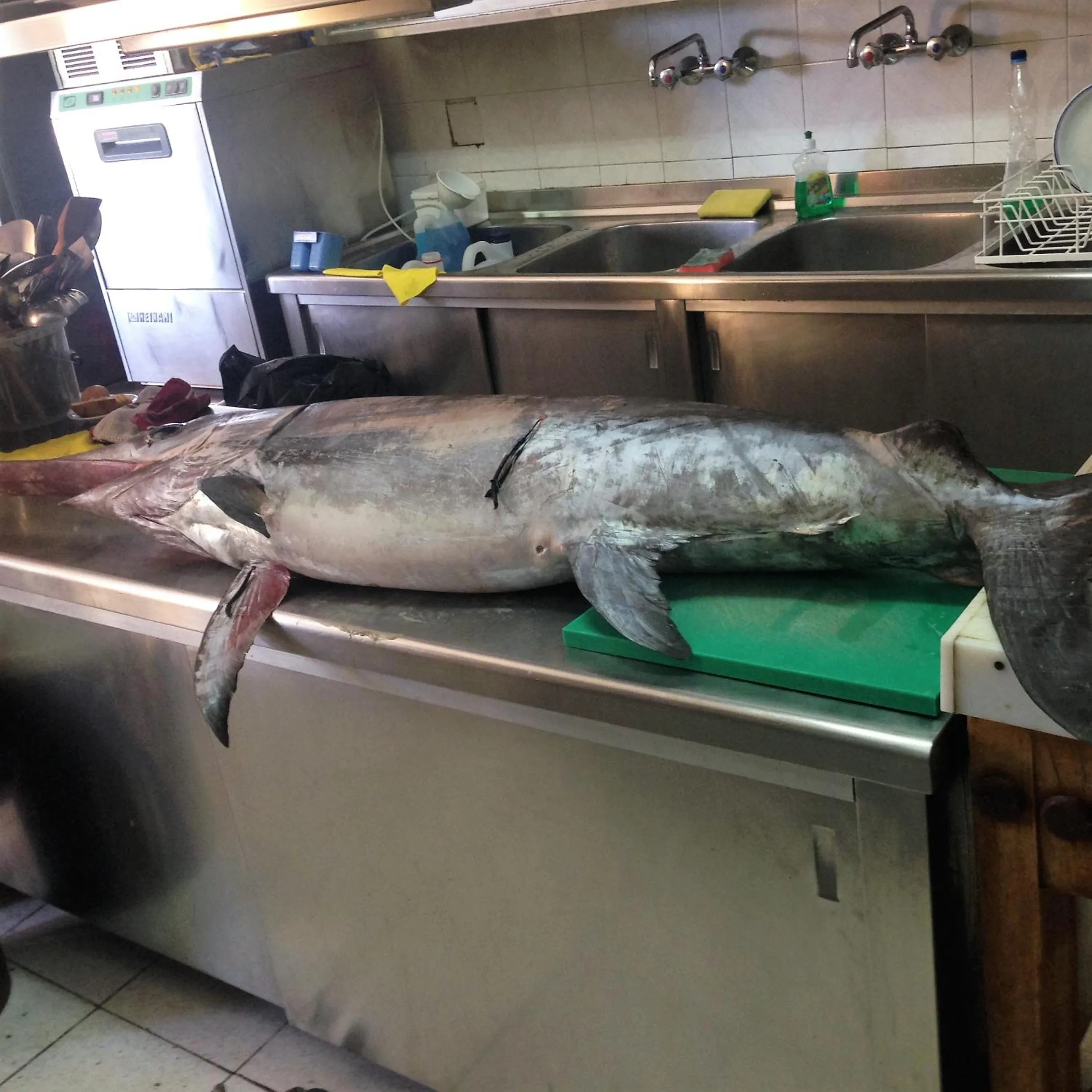 Dinner in Limnionas Bay Village Hotel