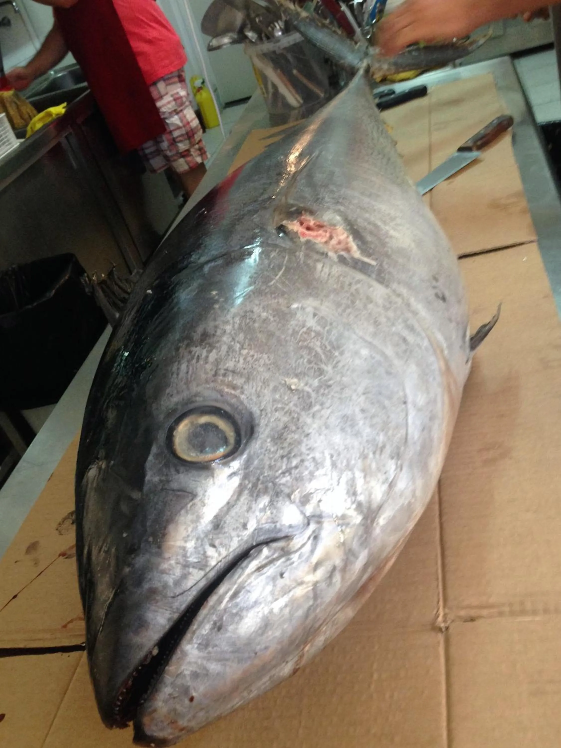 Dinner in Limnionas Bay Village Hotel