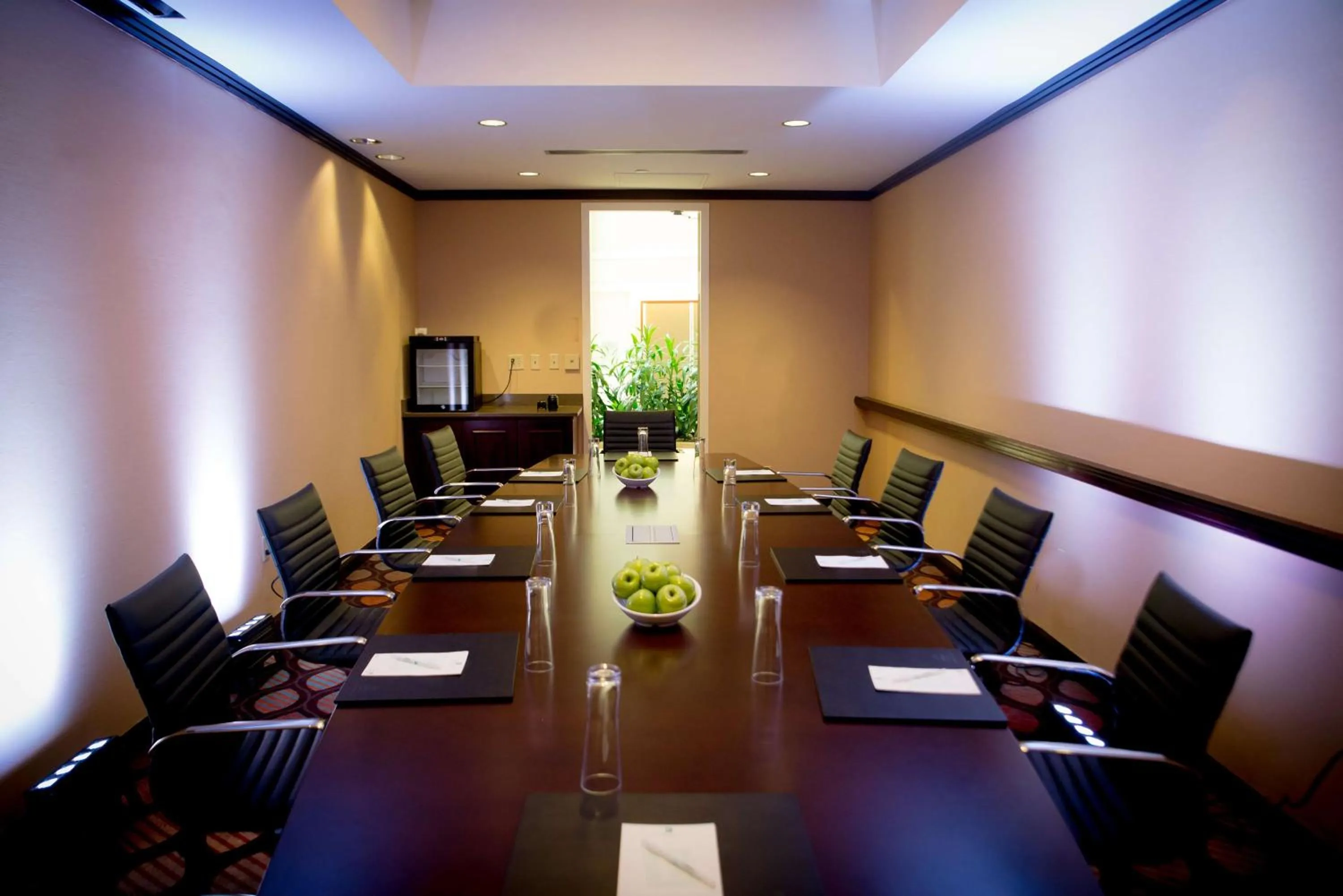Meeting/conference room in Embassy Suites by Hilton Alexandria Old Town