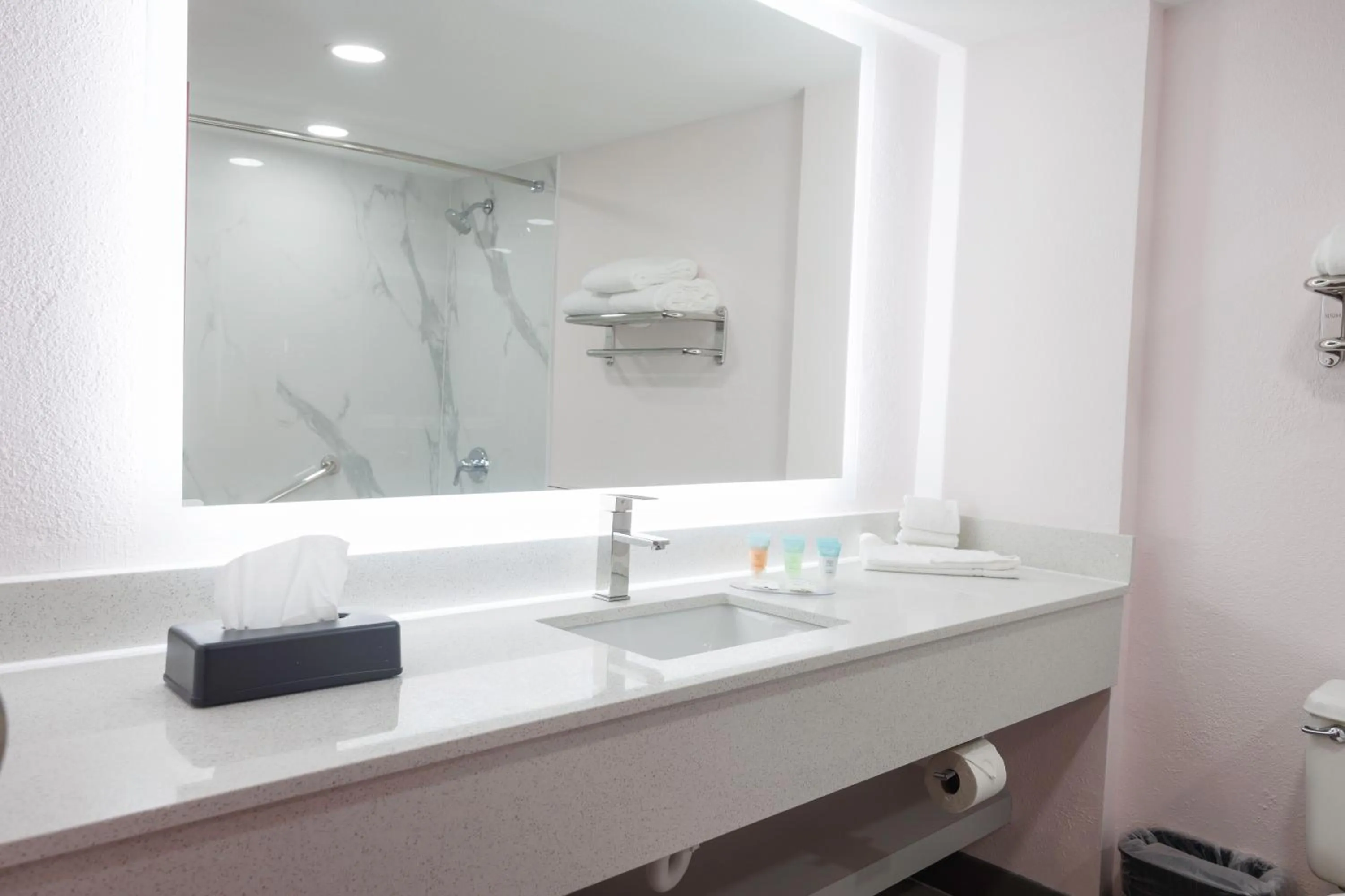 Bathroom in B&B Hotel Miami Airport