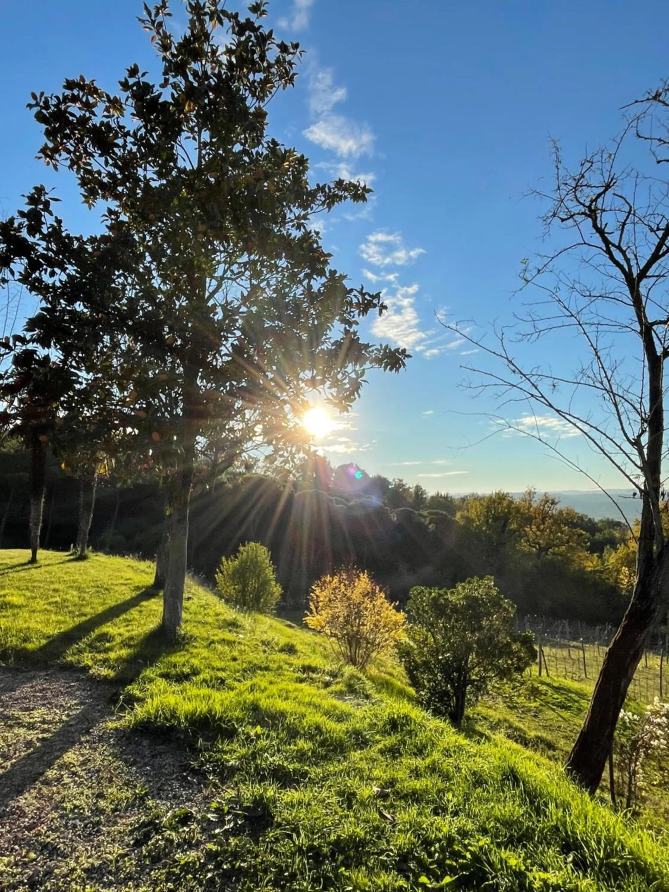 Natural landscape in Miataland
