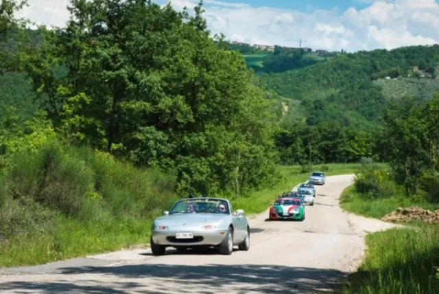 Natural landscape in Miataland