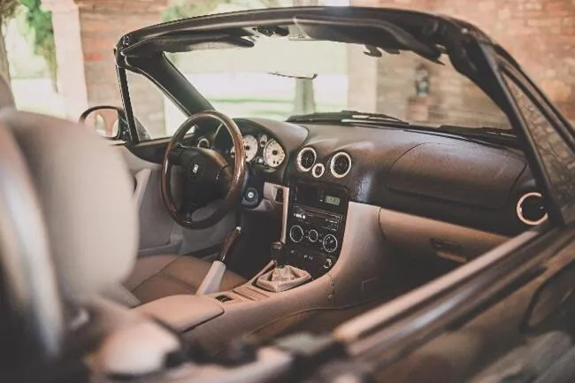 Activities in Miataland