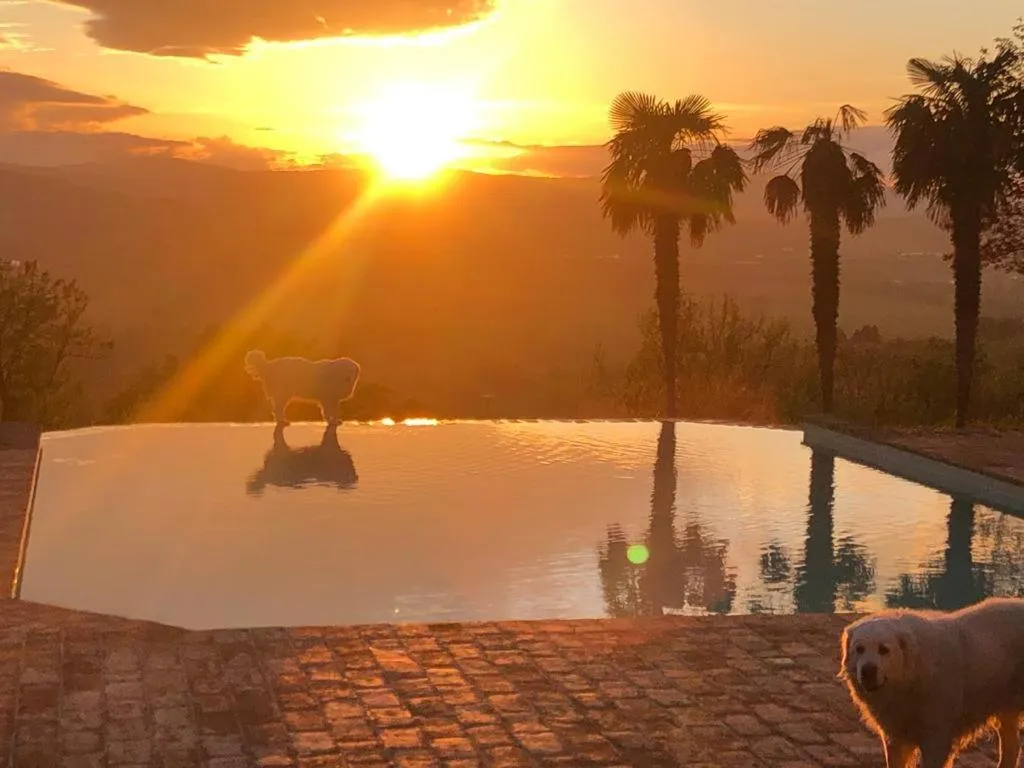 Swimming pool in Miataland