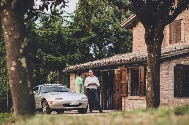 Property building in Miataland