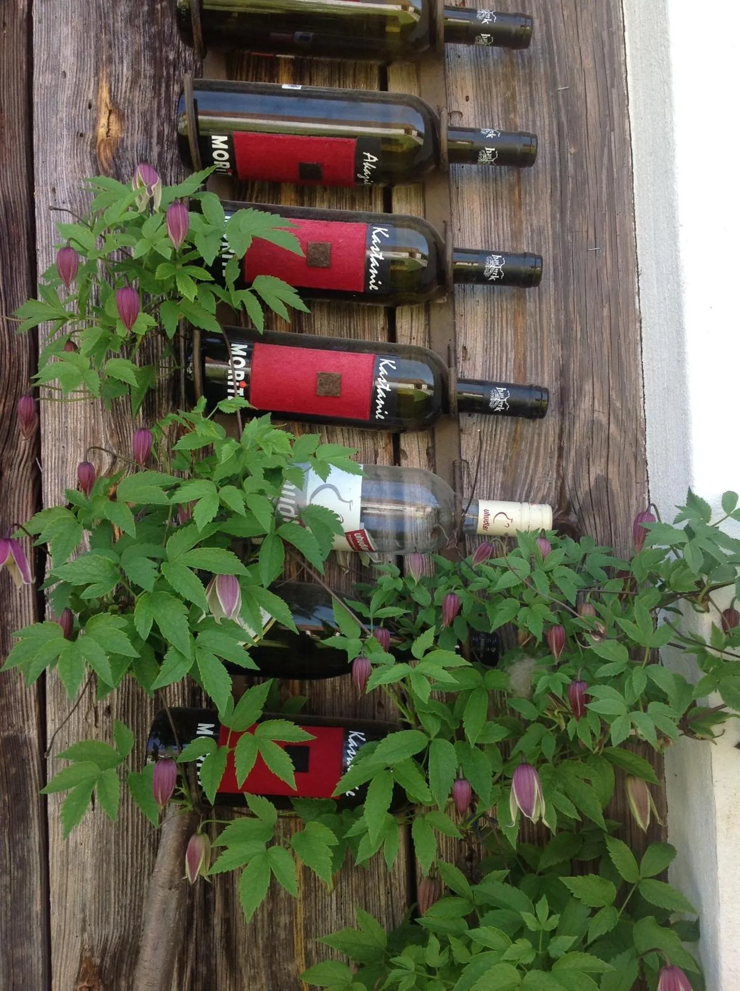 Bed & Breakfast Chez Lips