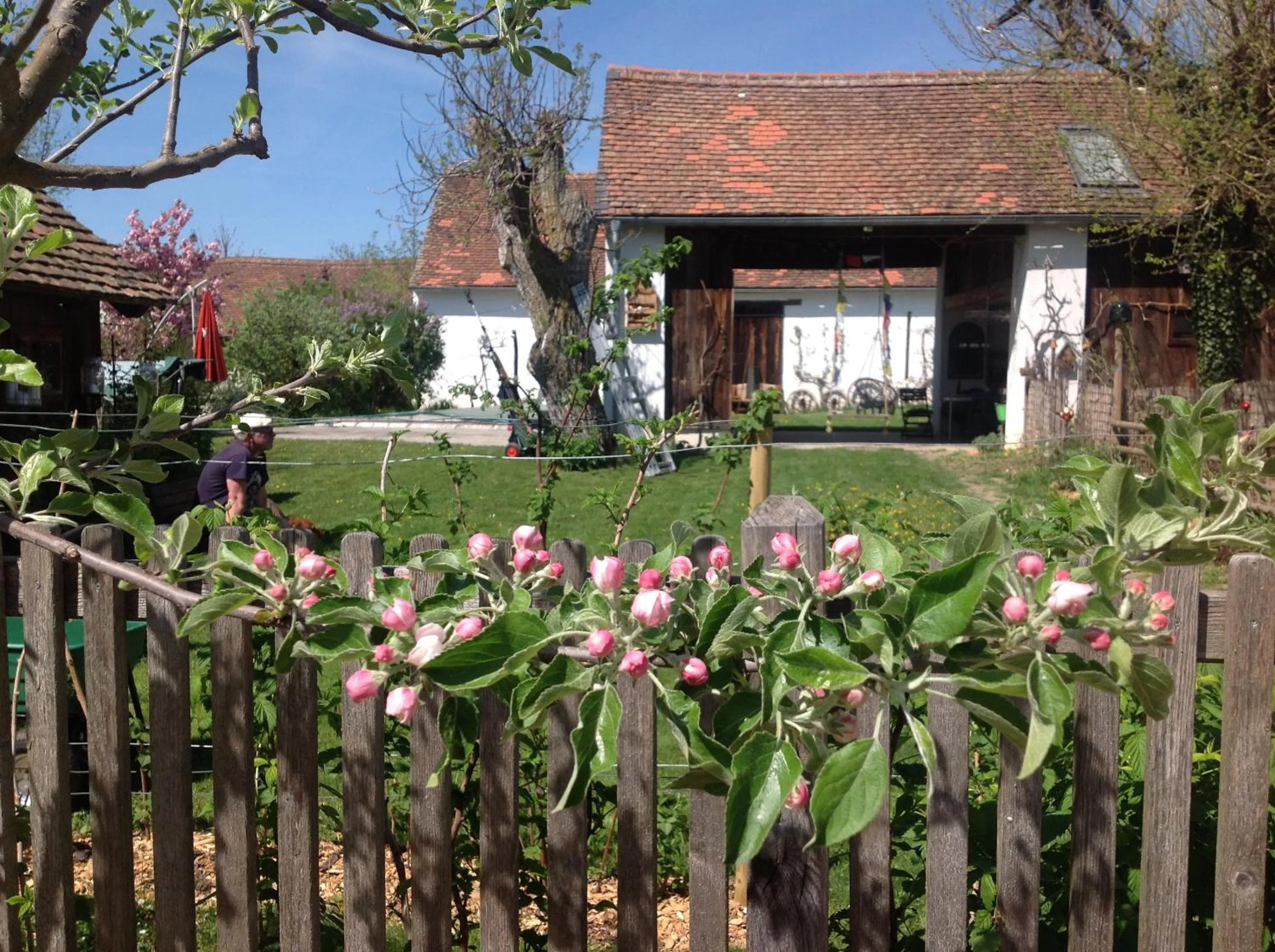 Bed & Breakfast Chez Lips