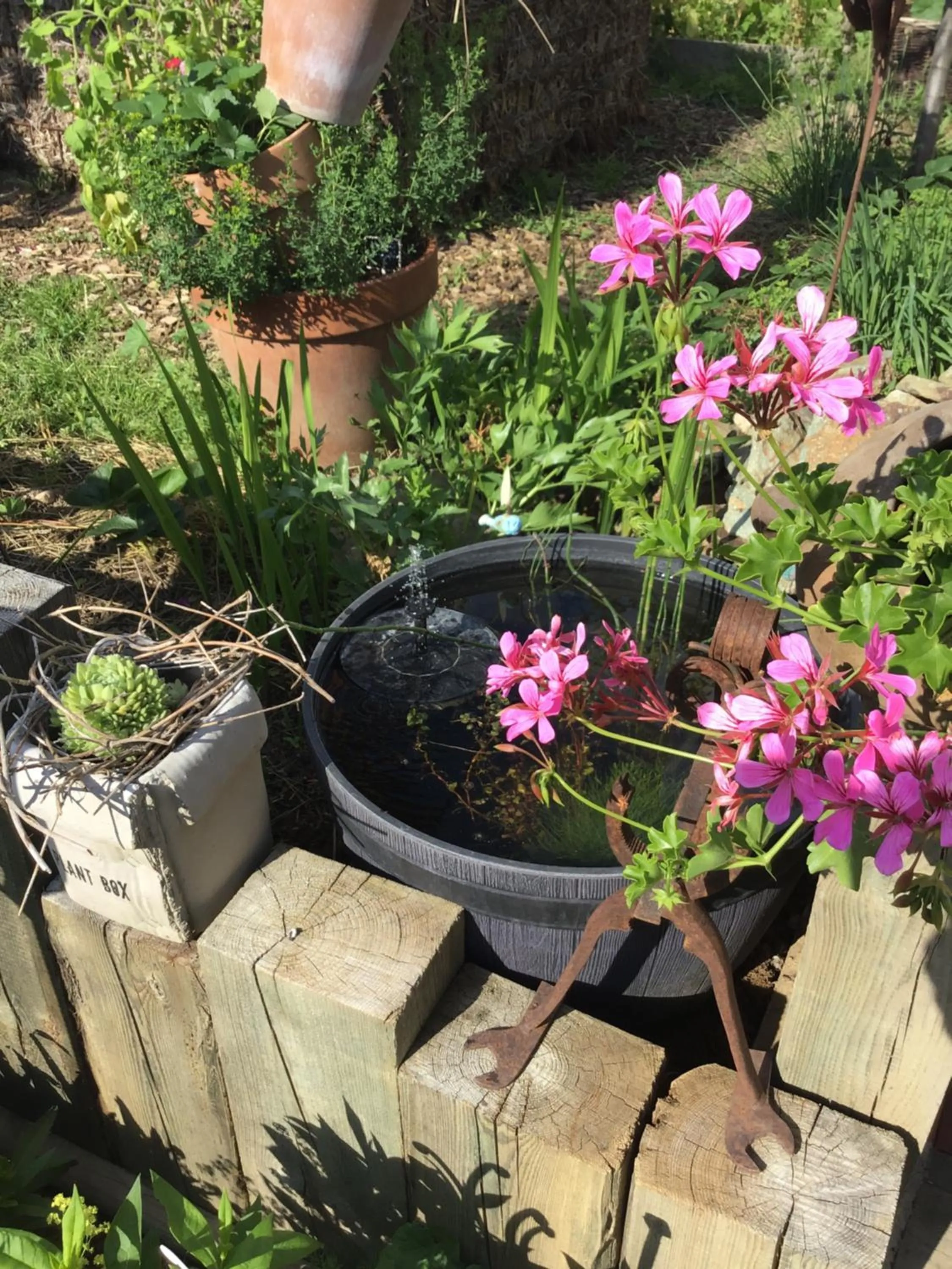 Bed & Breakfast Chez Lips