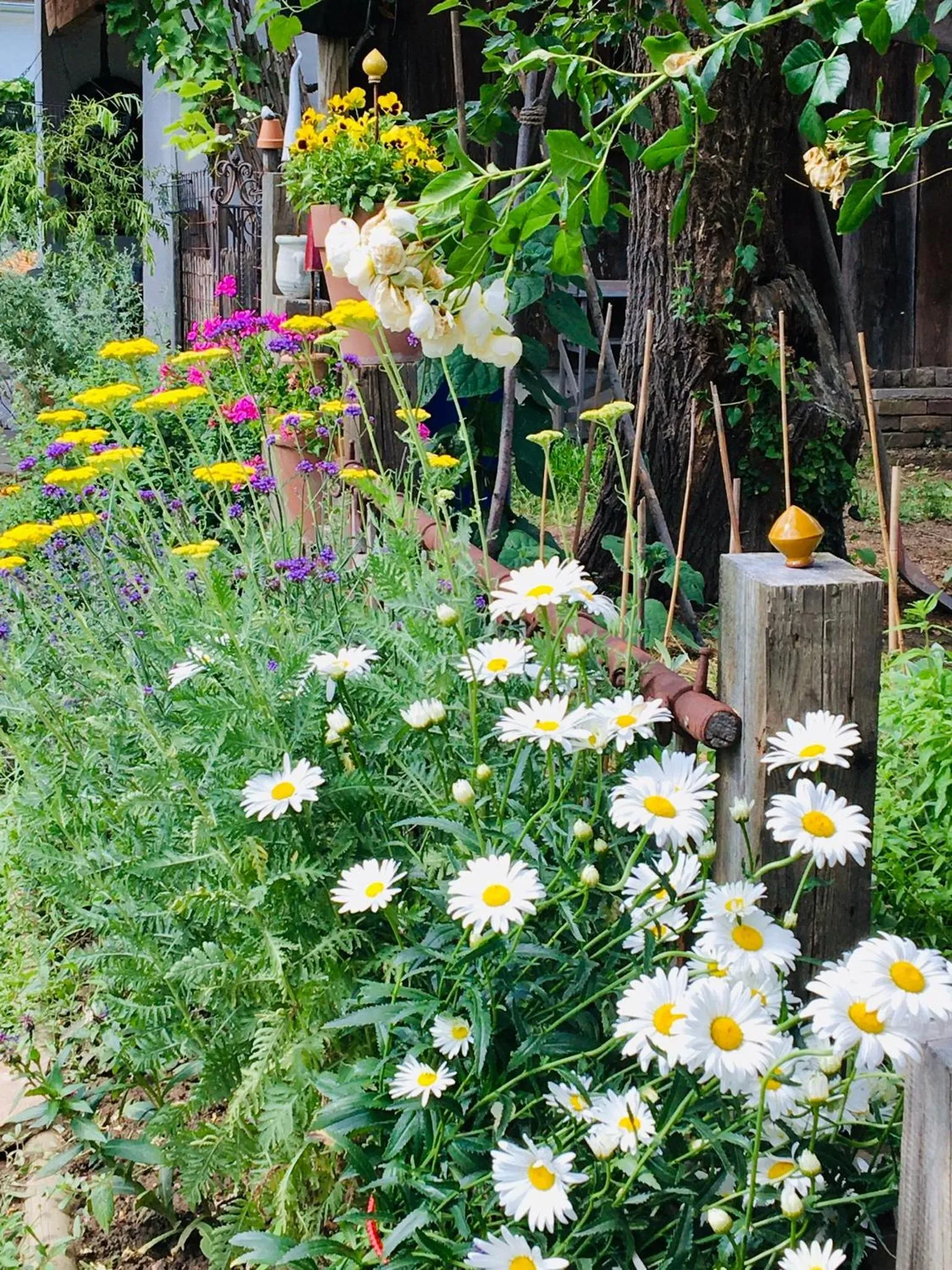 Bed & Breakfast Chez Lips