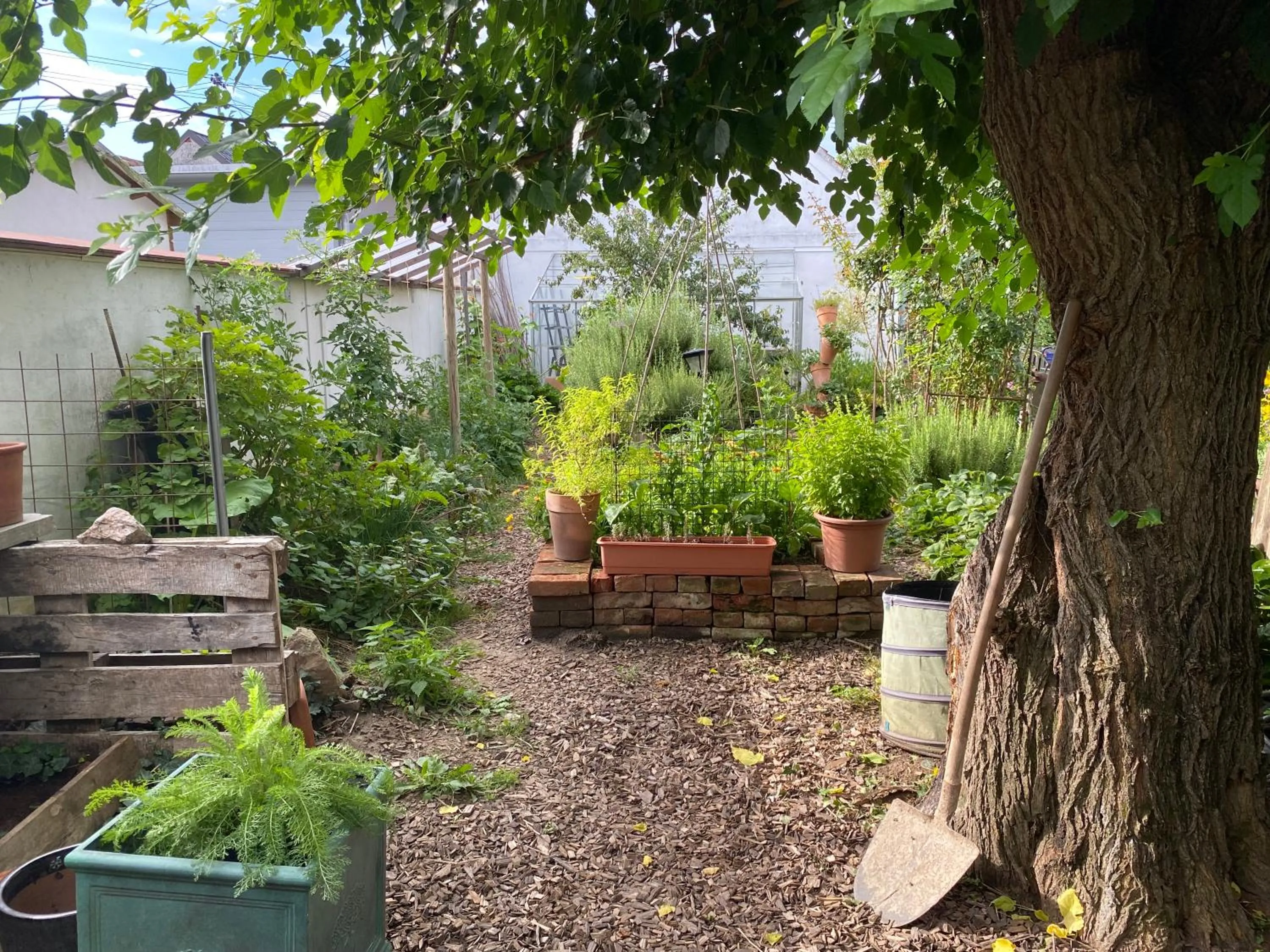 Bed & Breakfast Chez Lips