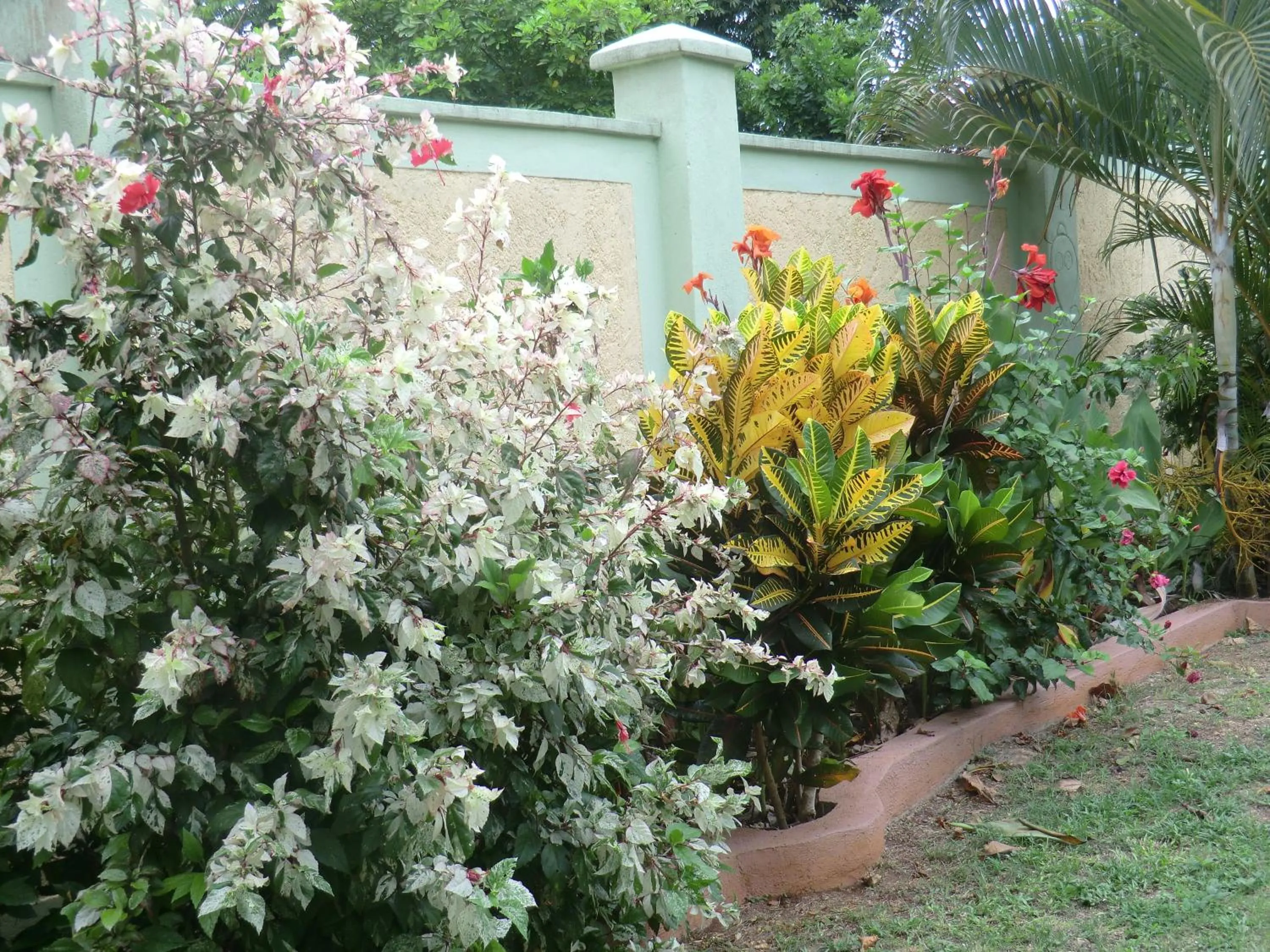 Garden in Pimento Lodge Resort