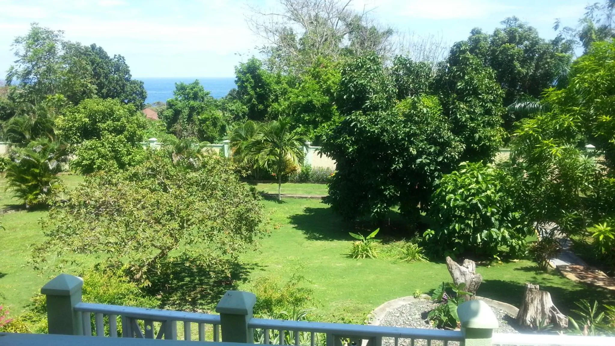 Garden view in Pimento Lodge Resort