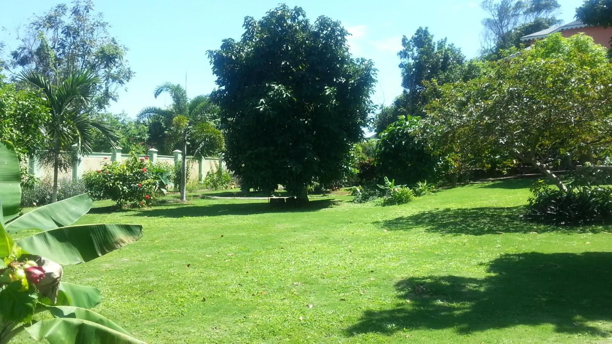 Natural landscape in Pimento Lodge Resort