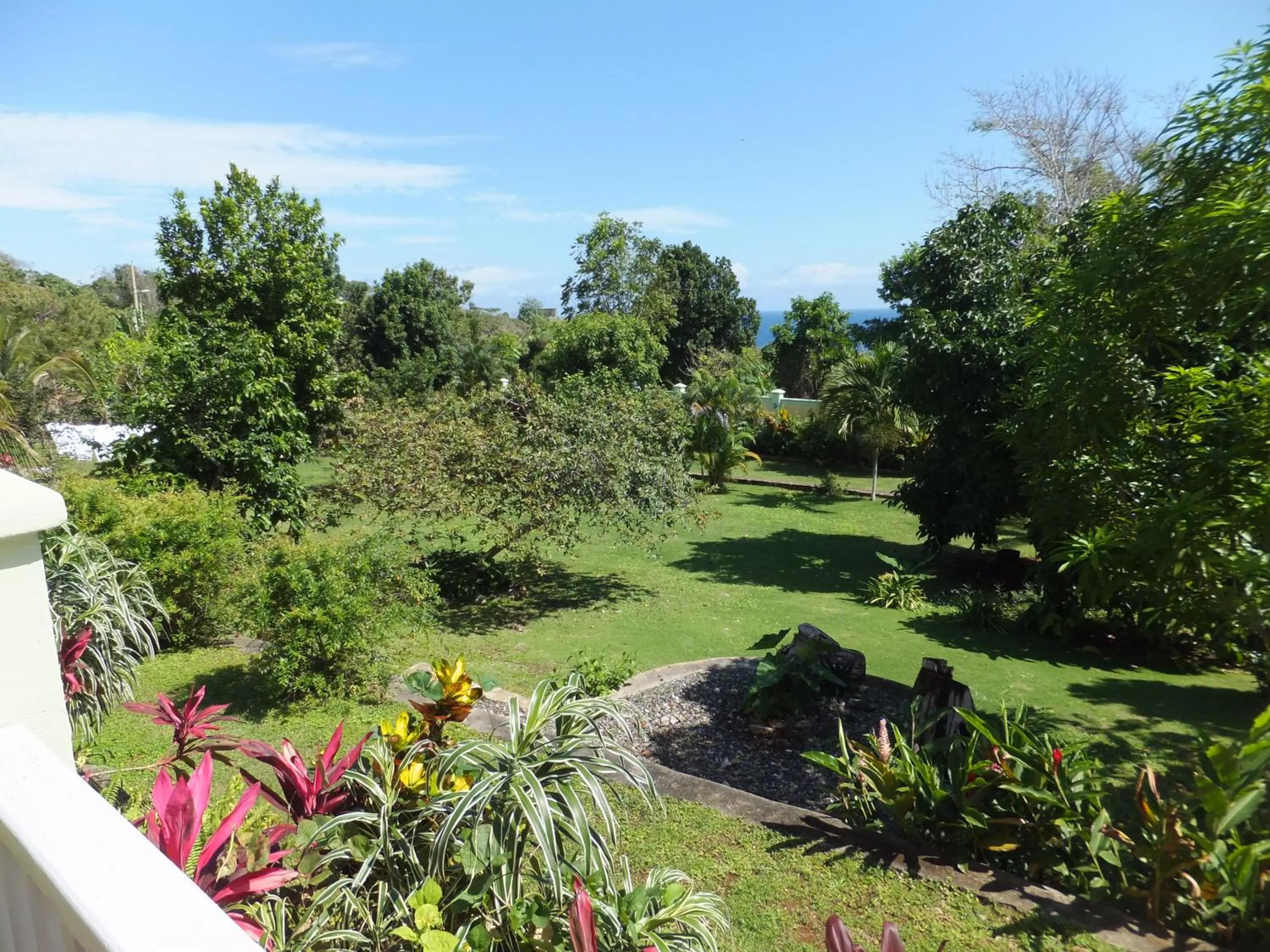Garden in Pimento Lodge Resort