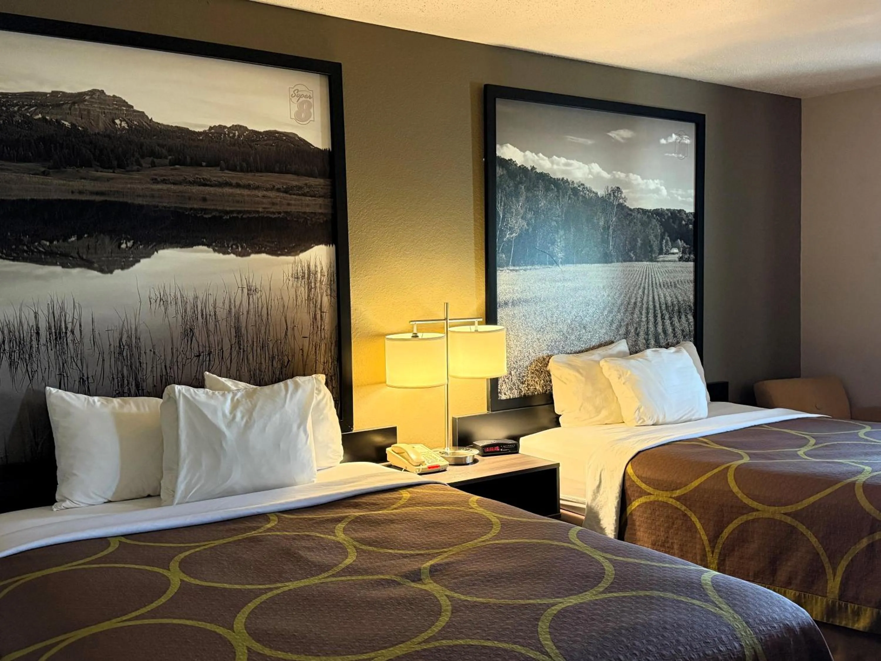 Guests, Bed in Super 8 by Wyndham Gas City Marion Area