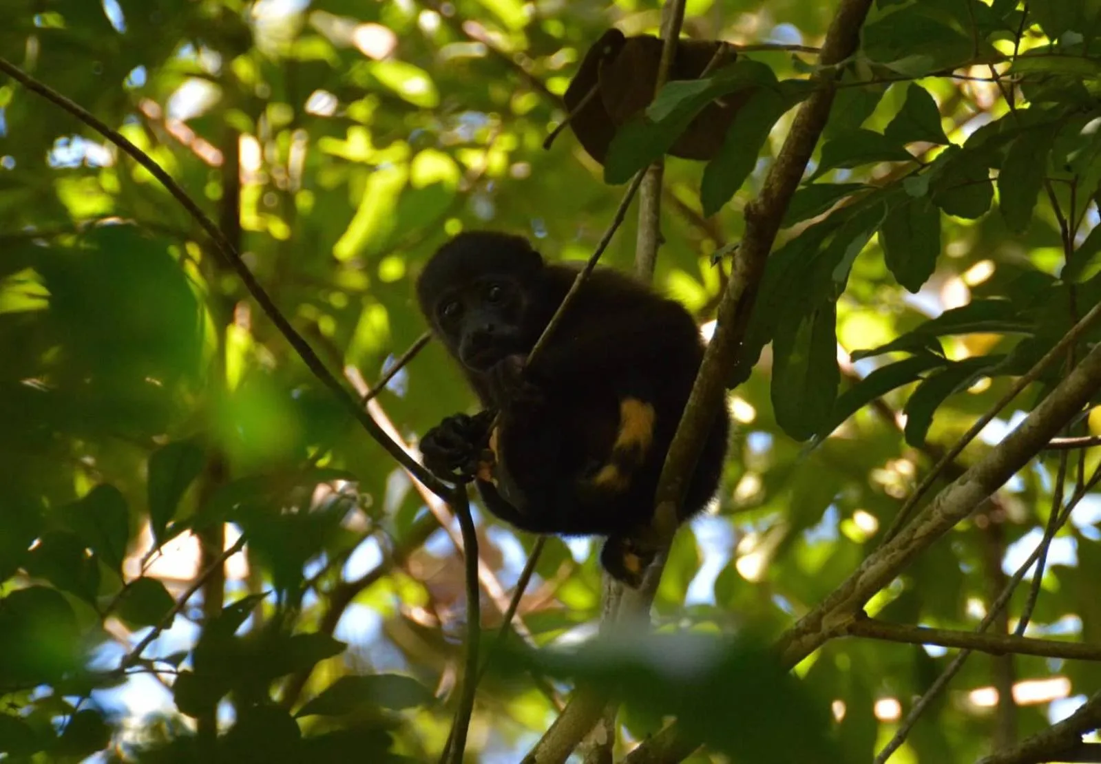 Activities in Bocas del Mar