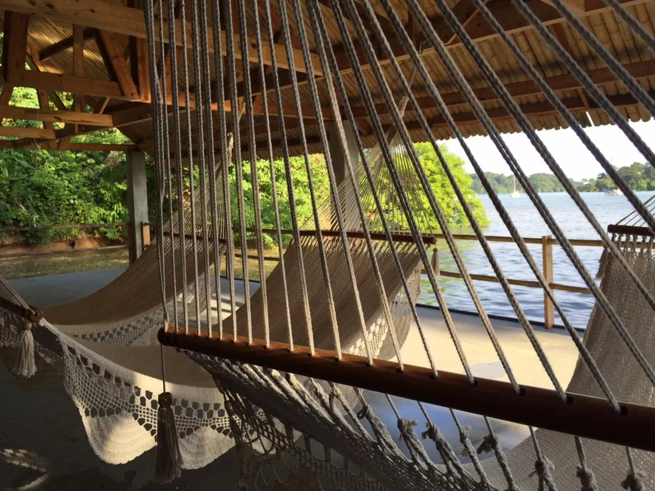 Garden in Bocas del Mar