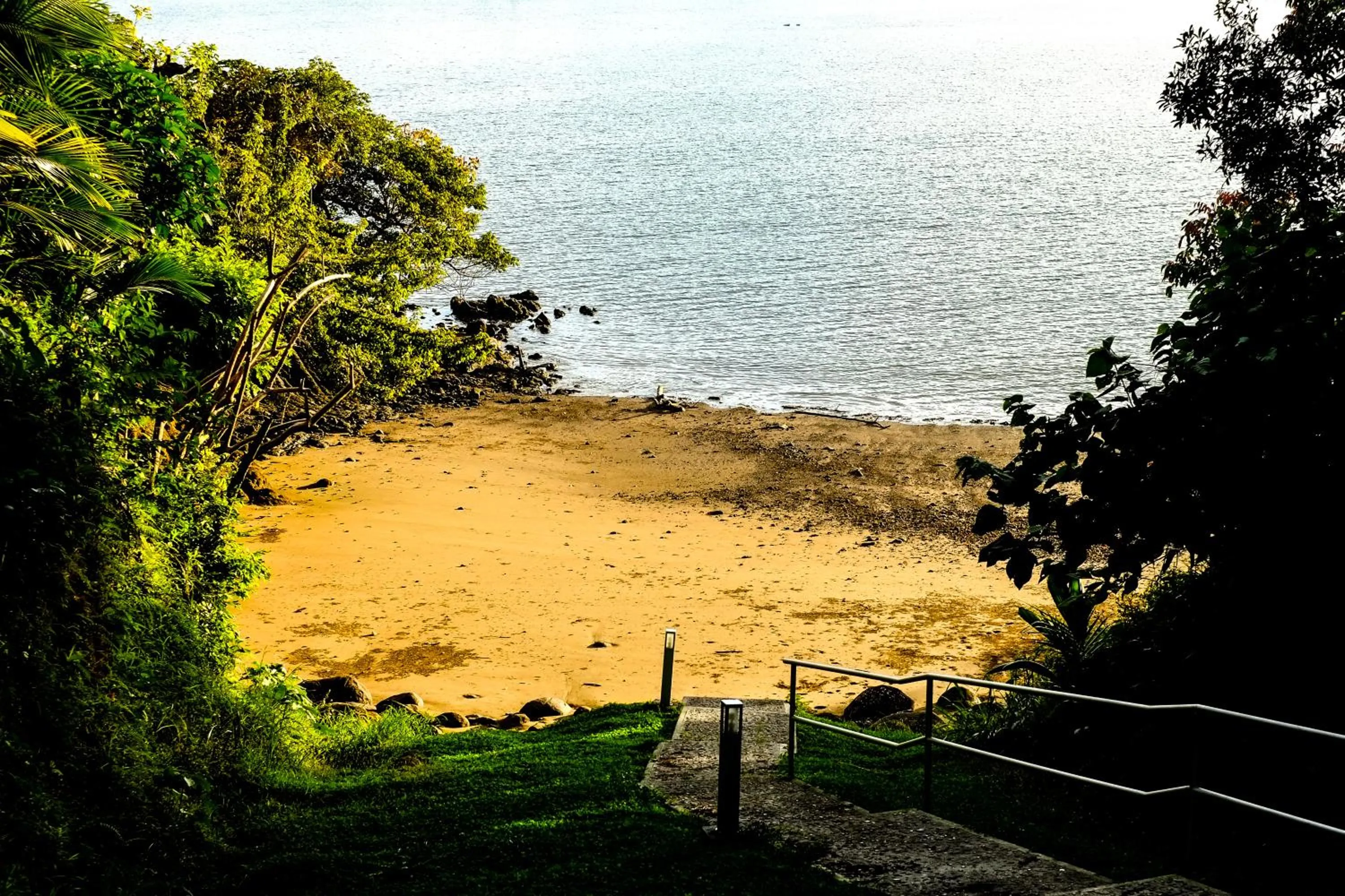 Garden in Bocas del Mar