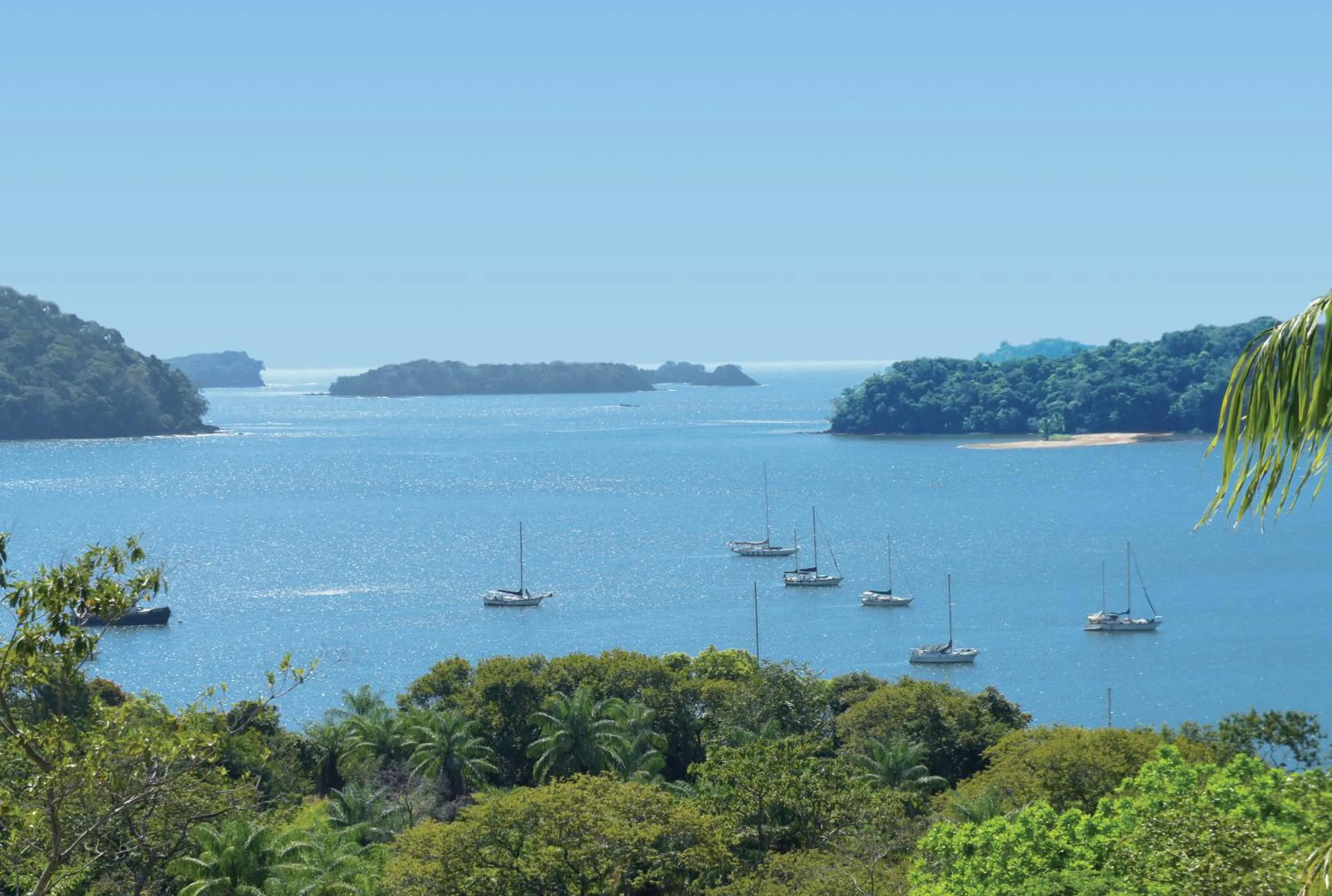View (from property/room) in Bocas del Mar