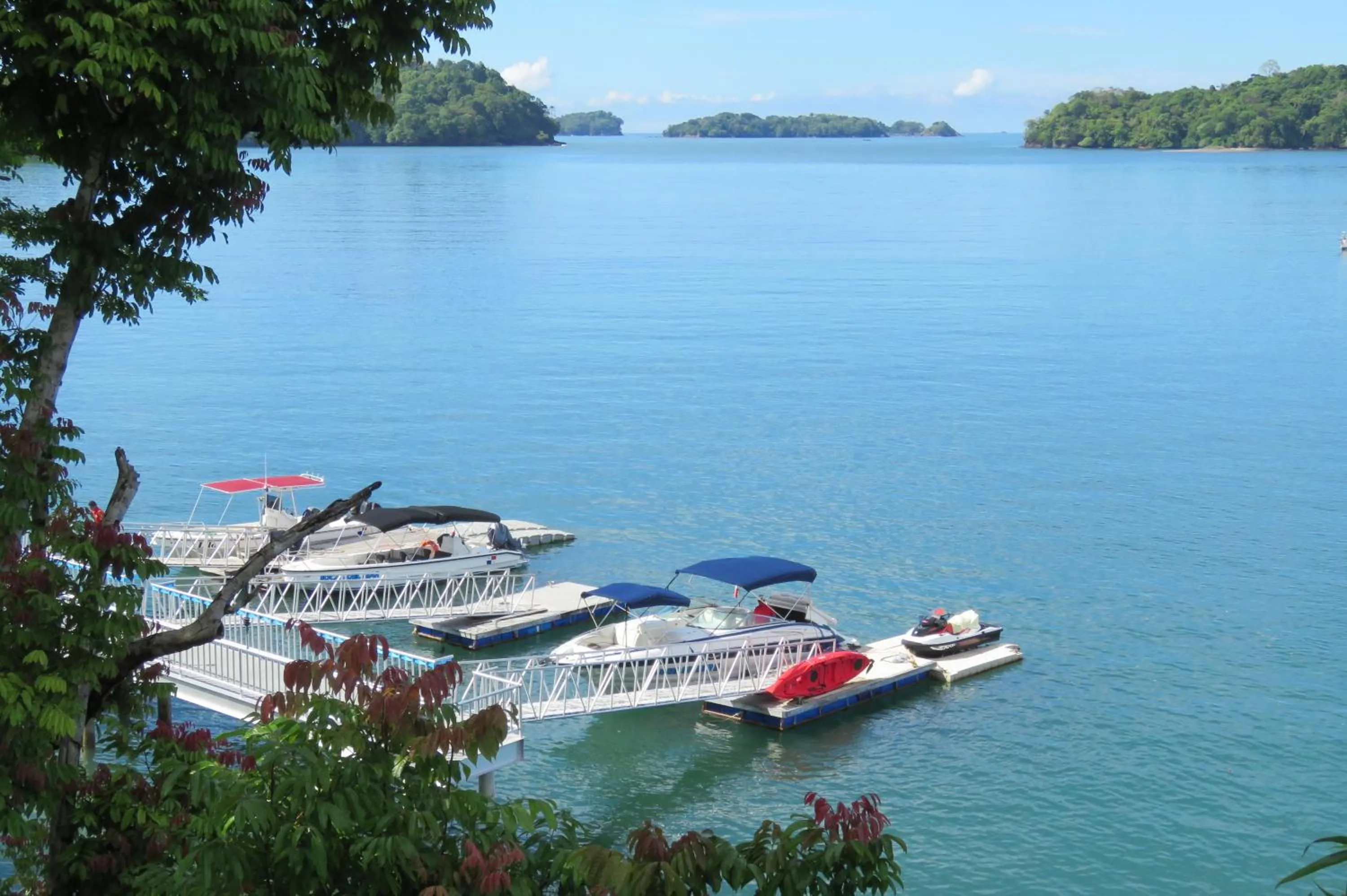 Activities in Bocas del Mar