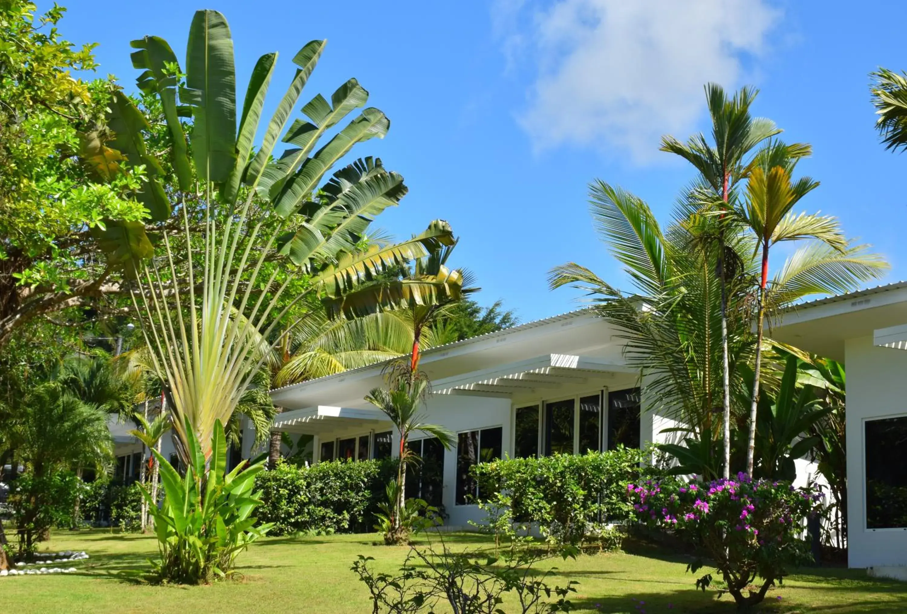 Two-Bedroom Suite in Bocas del Mar Two-Bedroom Suite in Bocas del Mar