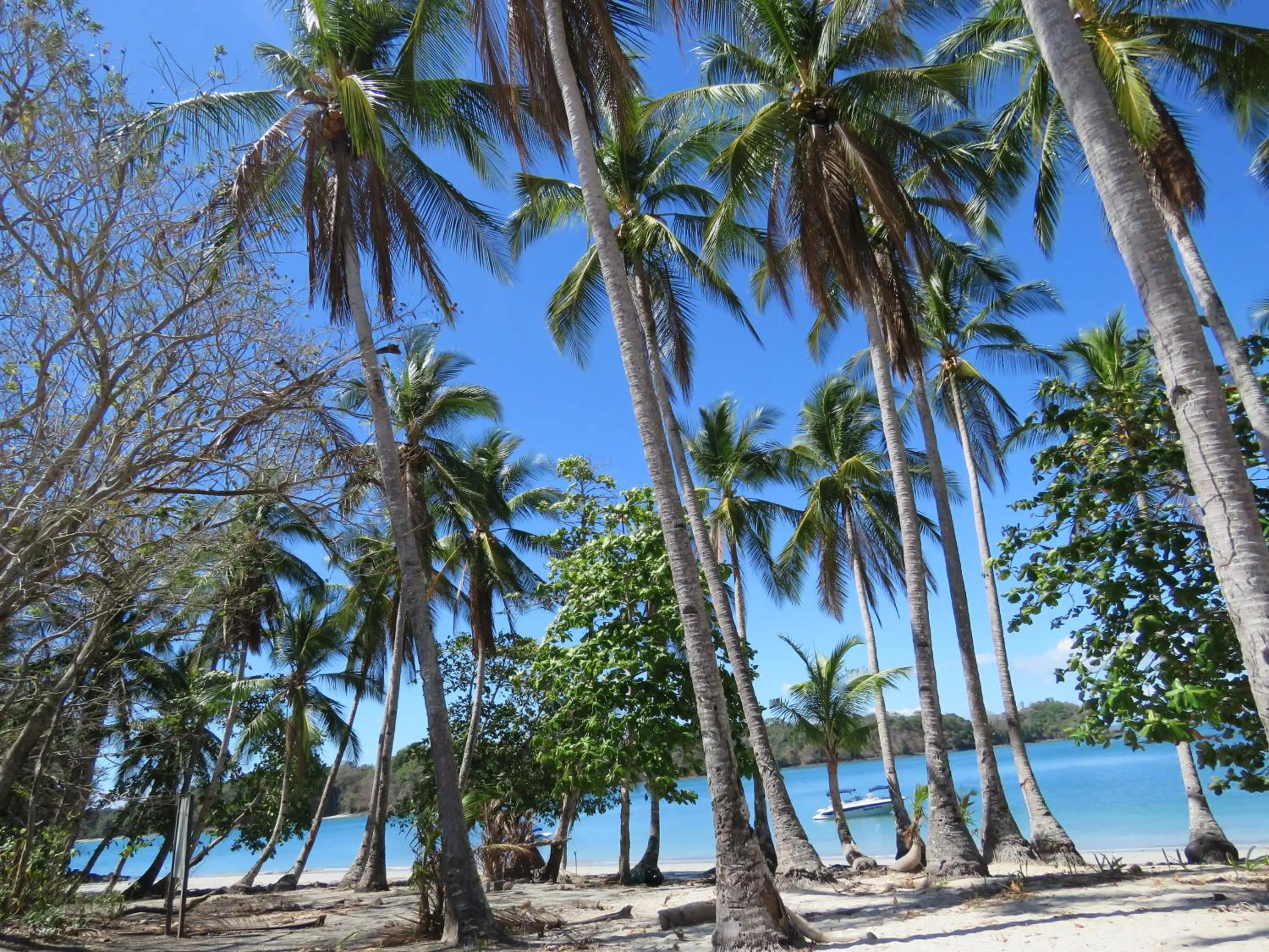 Activities in Bocas del Mar