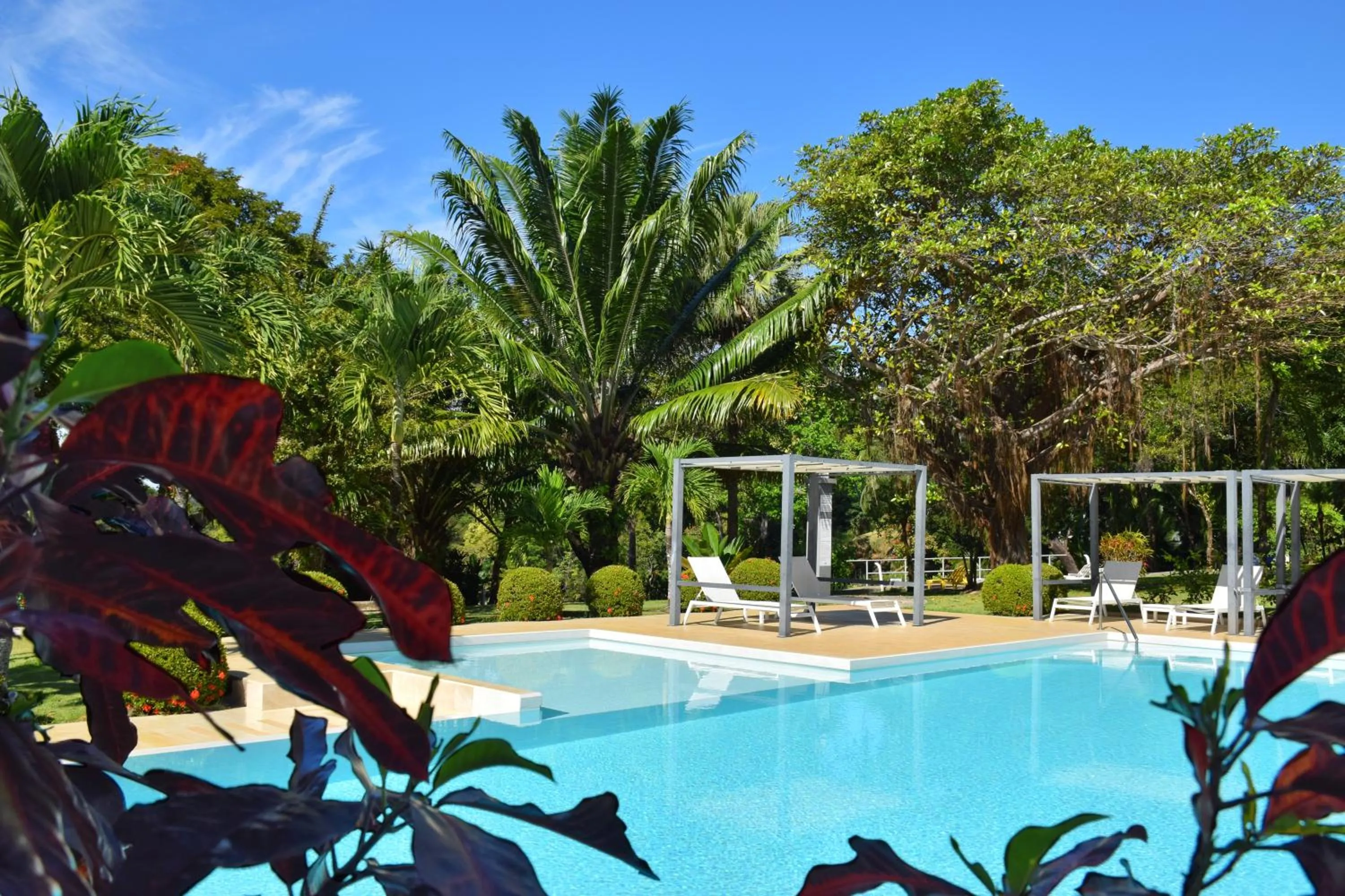 Garden in Bocas del Mar