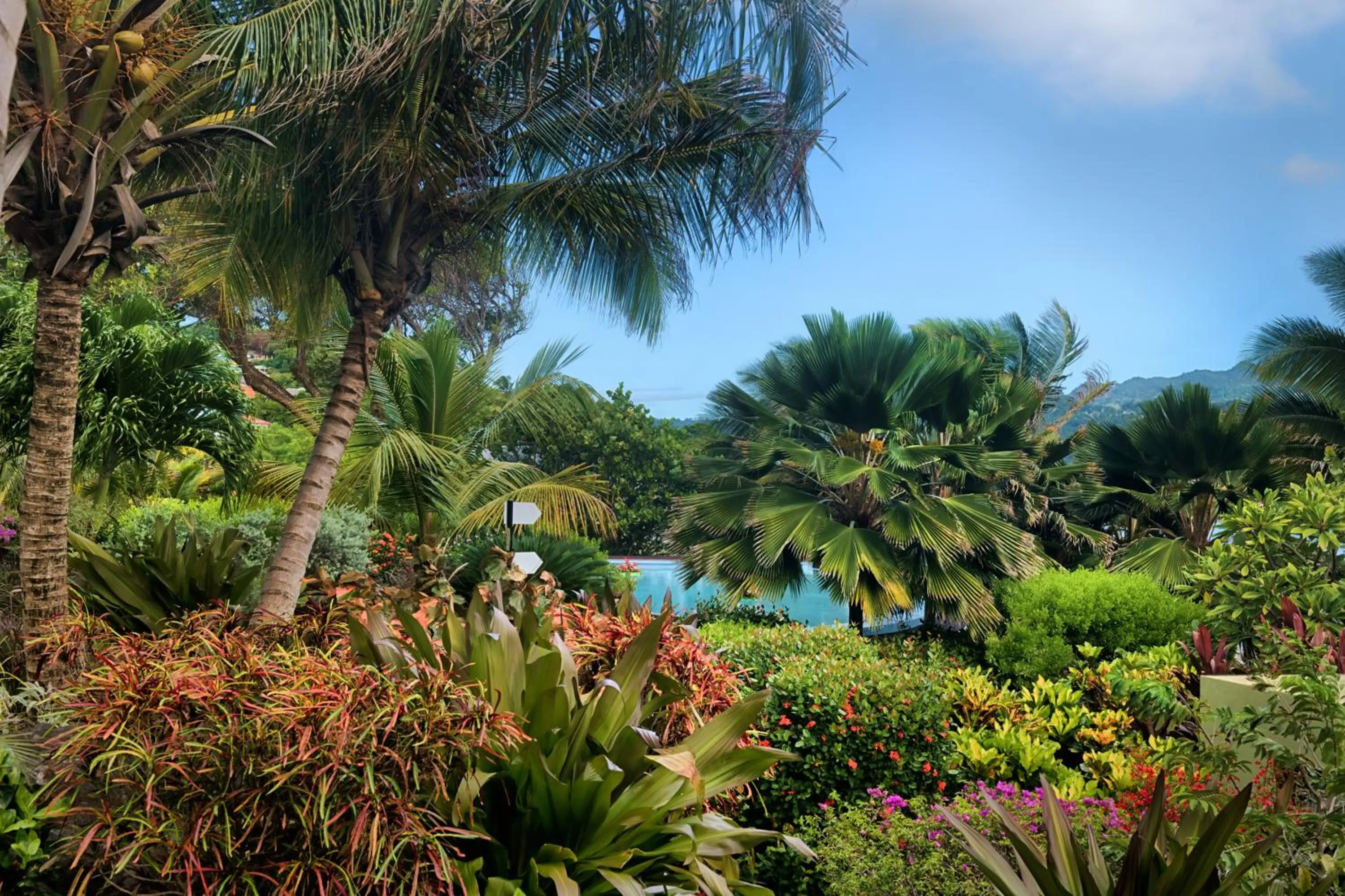 Natural landscape in 473 Grenada Boutique Resort