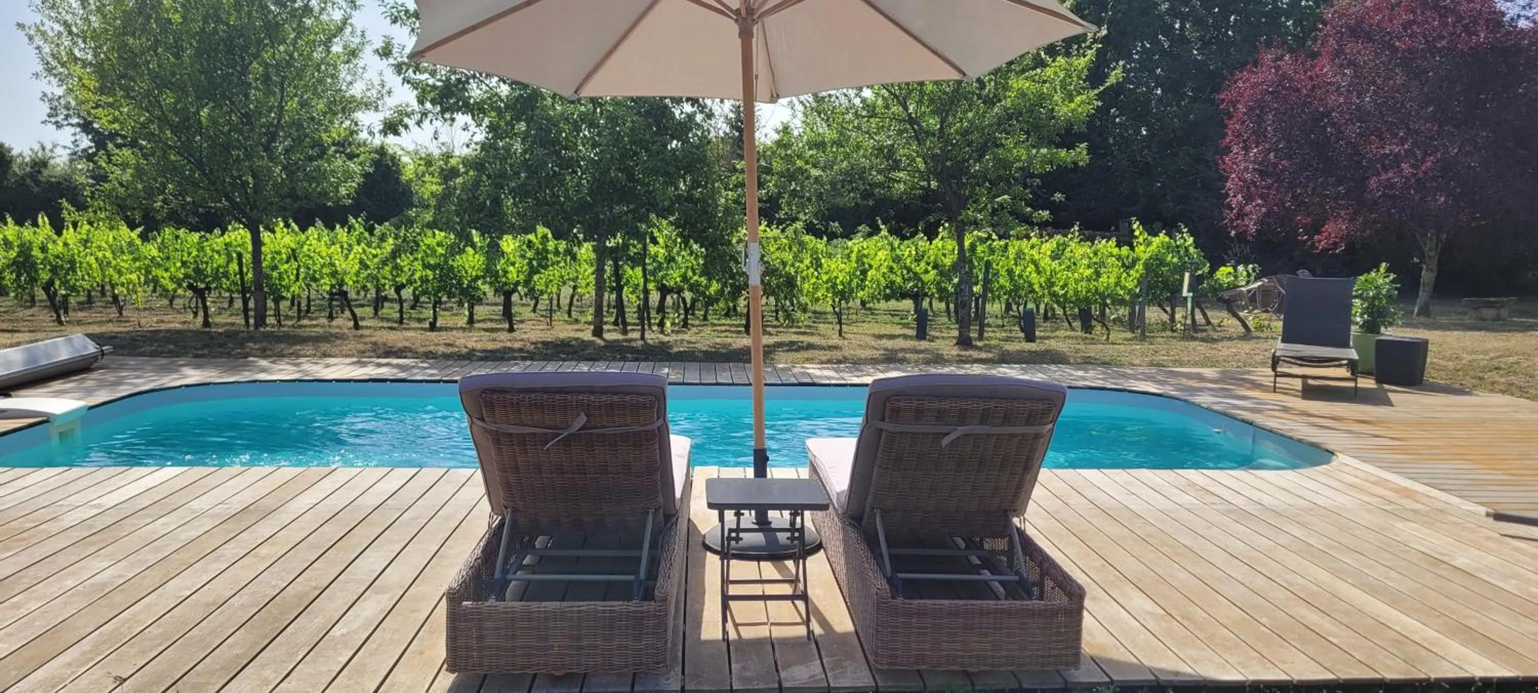 Garden in La Vigneraie de Laura