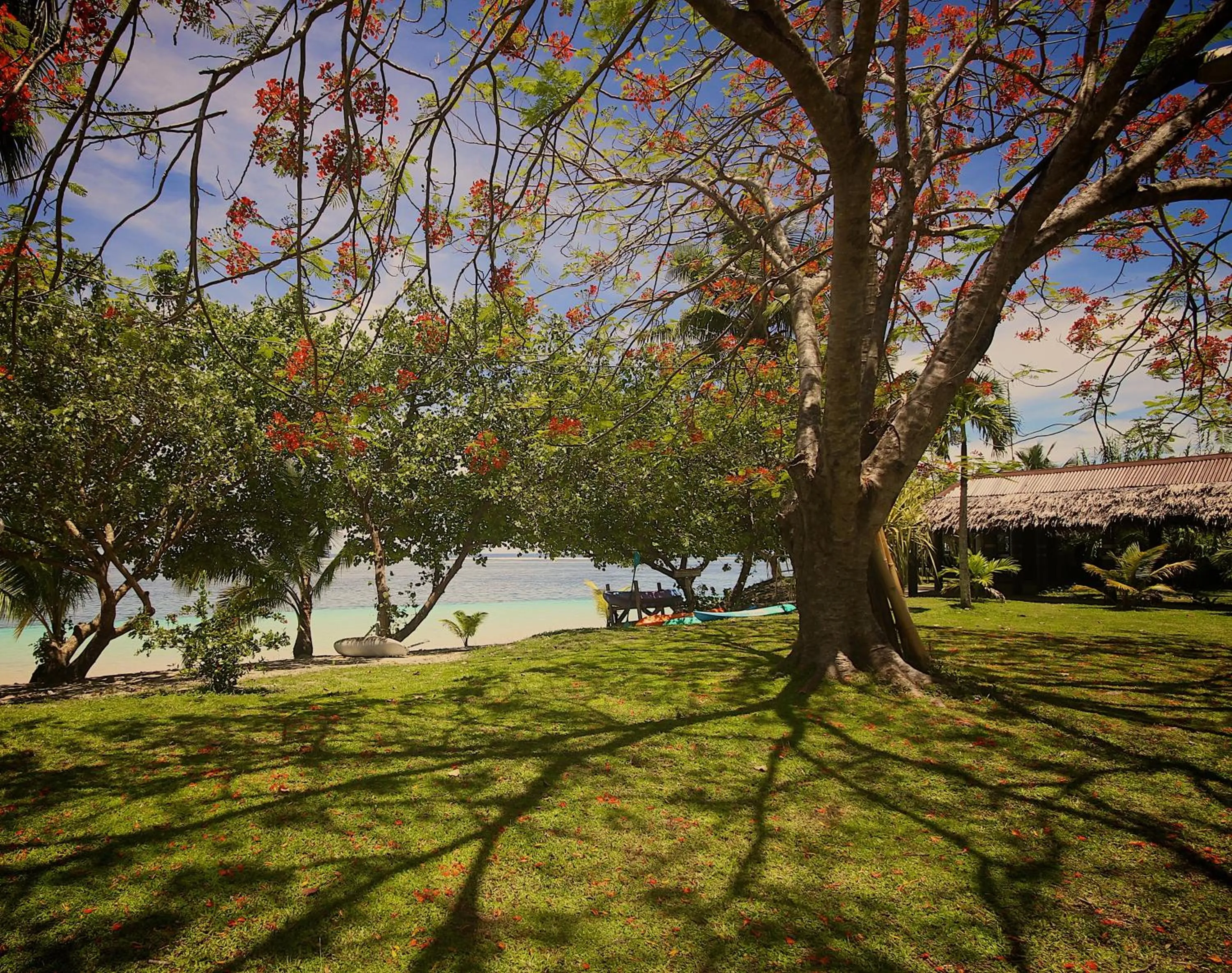 Garden in Stevensons at Manase