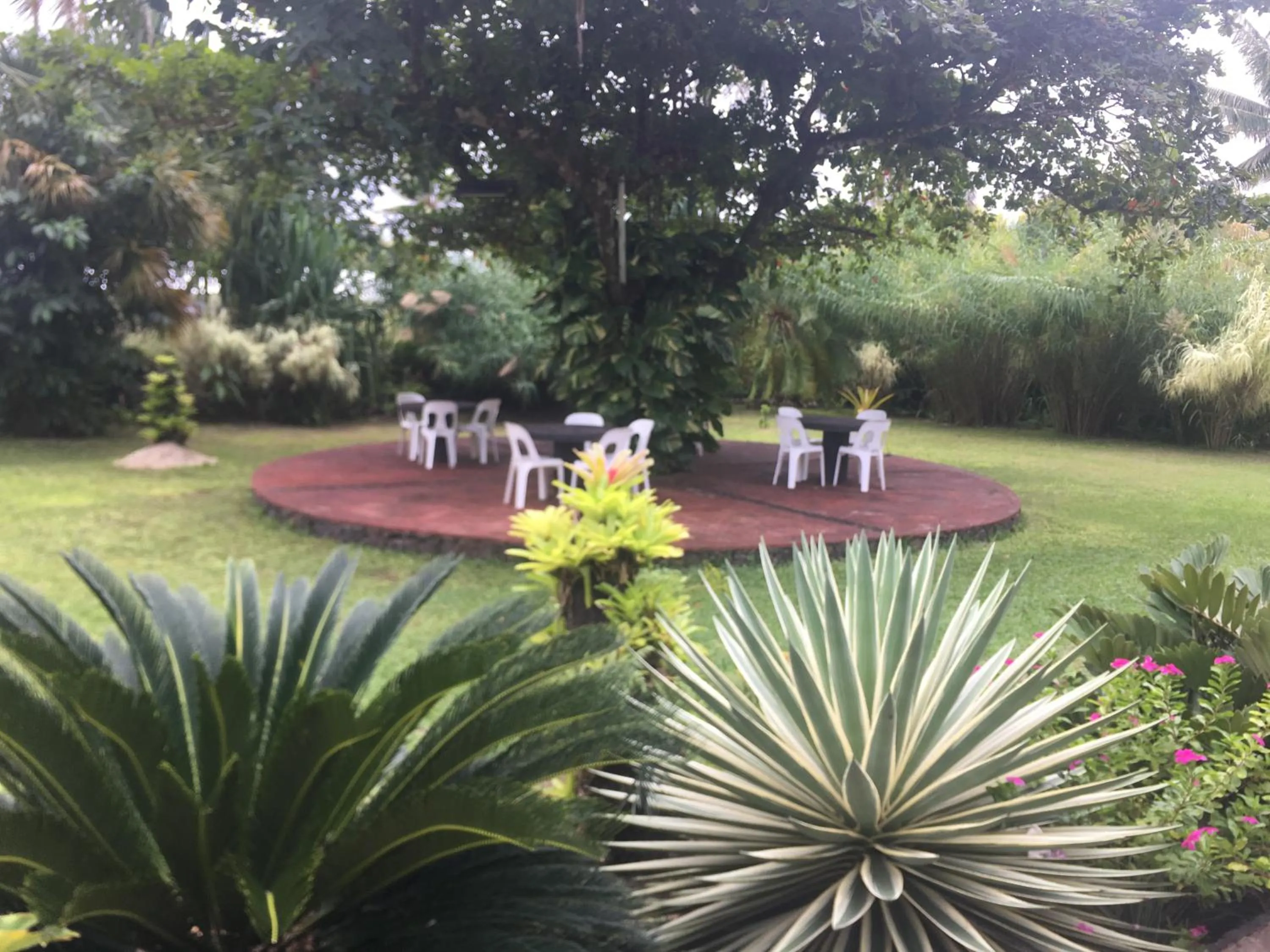 Natural landscape in Stevensons at Manase