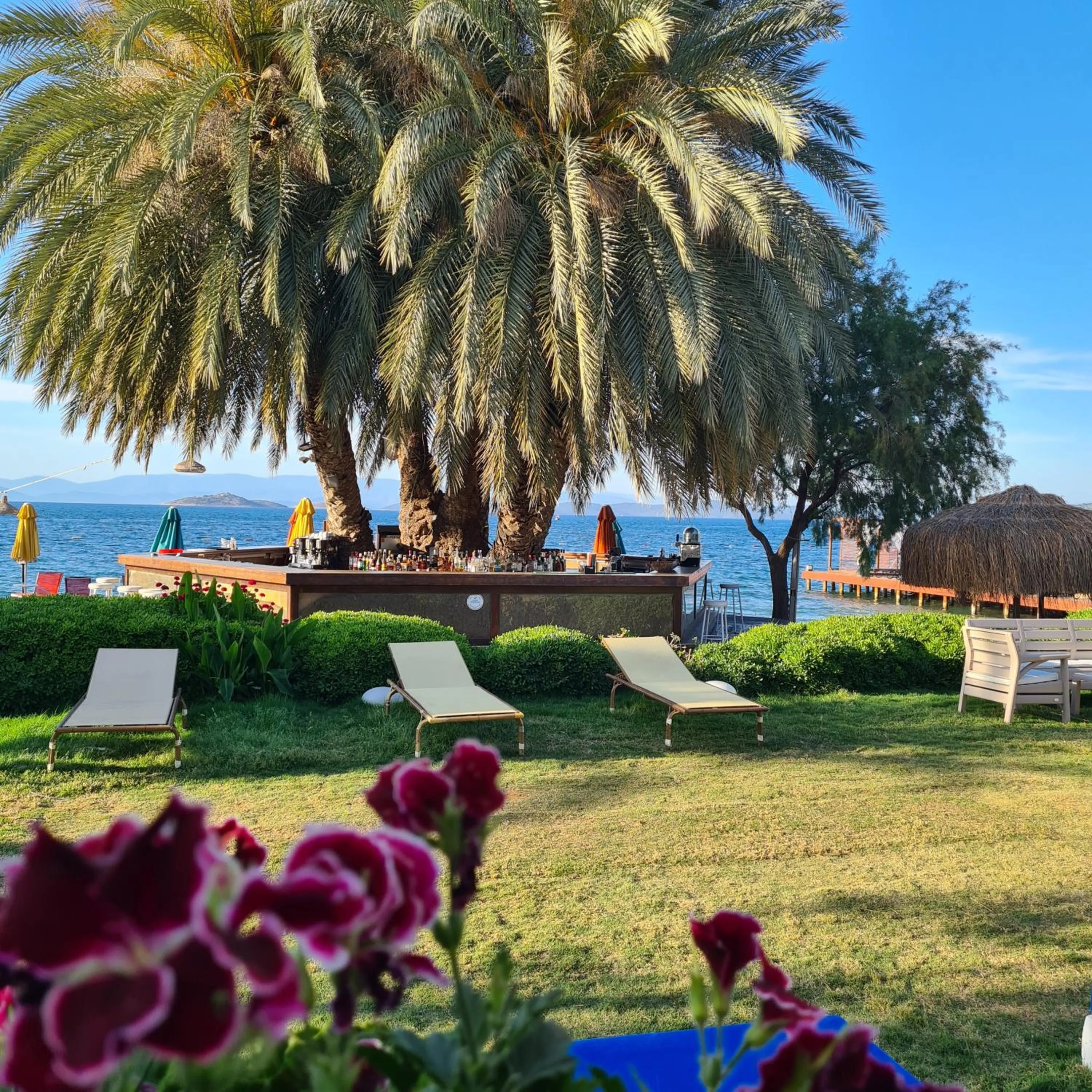 sunbed in Toka Bodrum Hotel & Beach Club