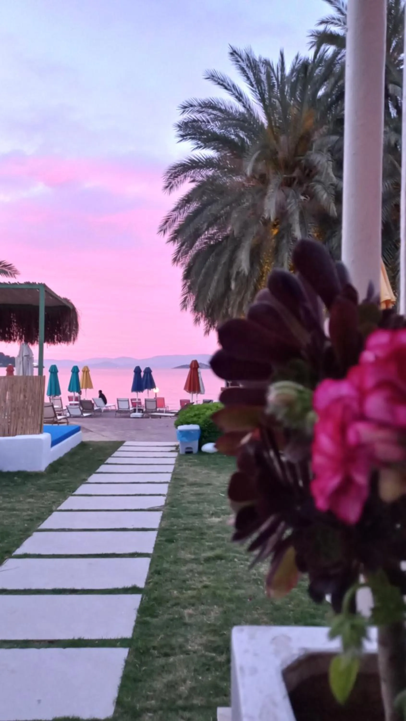 Restaurant/places to eat, Swimming Pool in Toka Bodrum Hotel & Beach Club