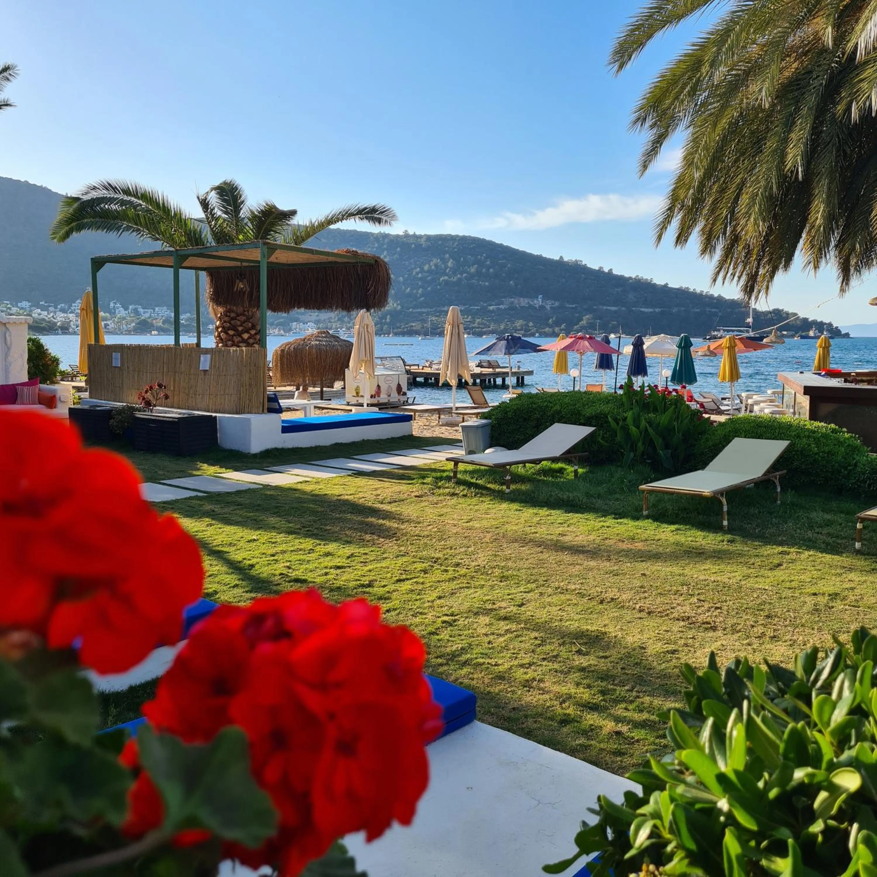 Restaurant/places to eat, Swimming Pool in Toka Bodrum Hotel & Beach Club
