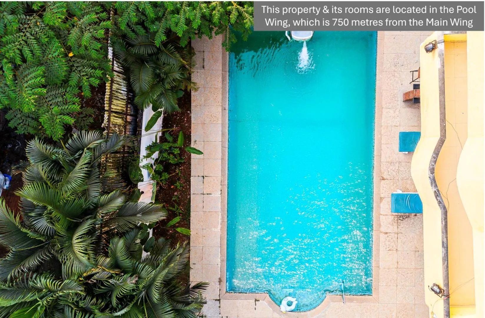 Swimming pool in Jungle by sturmfrei Vagator - Pool Wing