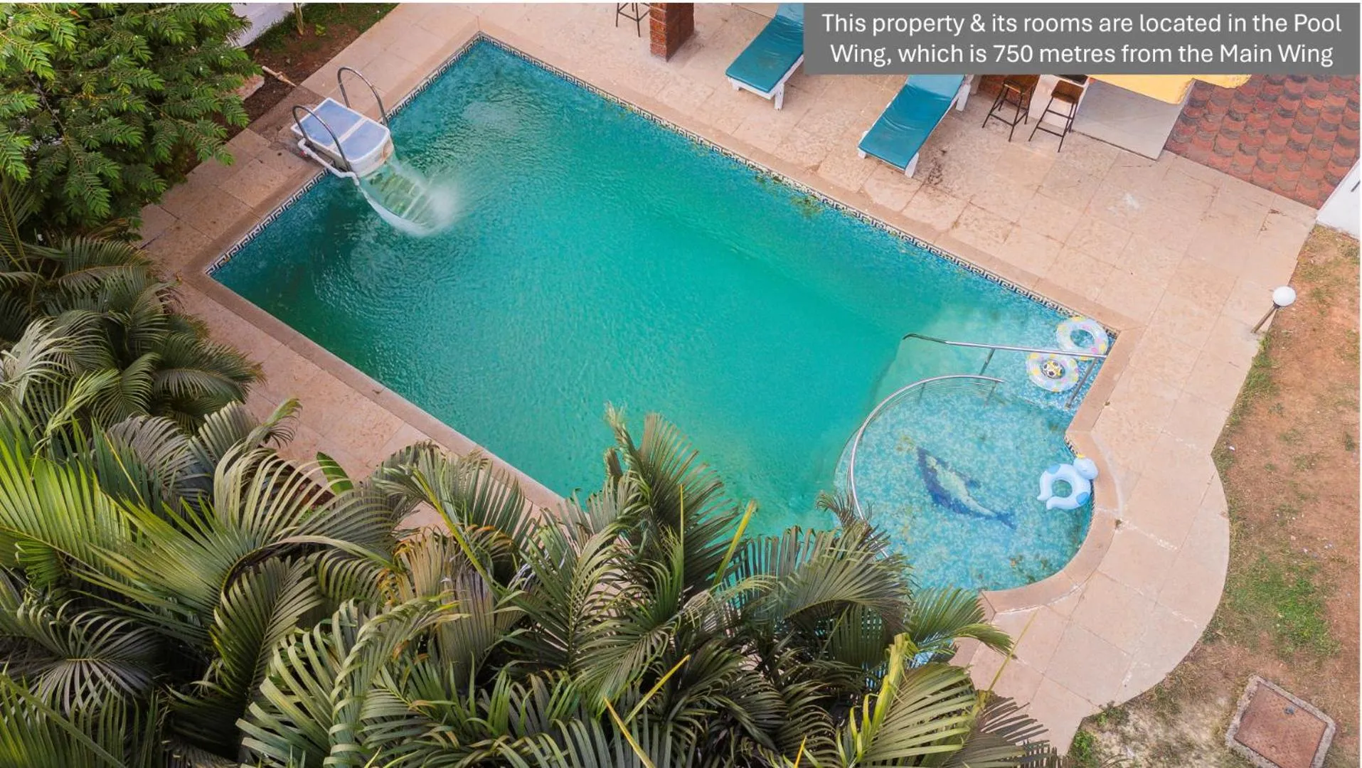 Swimming pool in Jungle by sturmfrei Vagator - Pool Wing