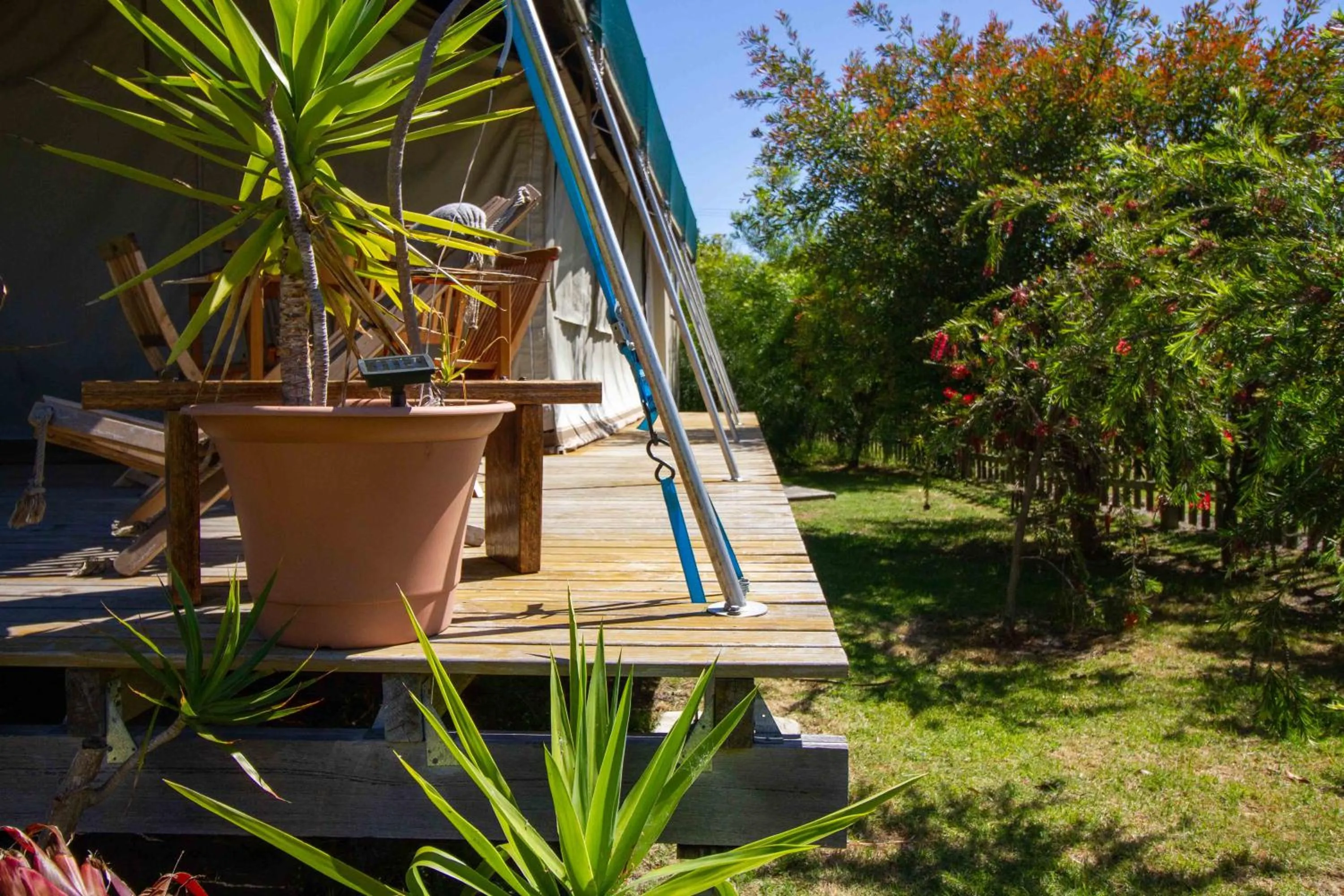 Garden in South Coast Retreat